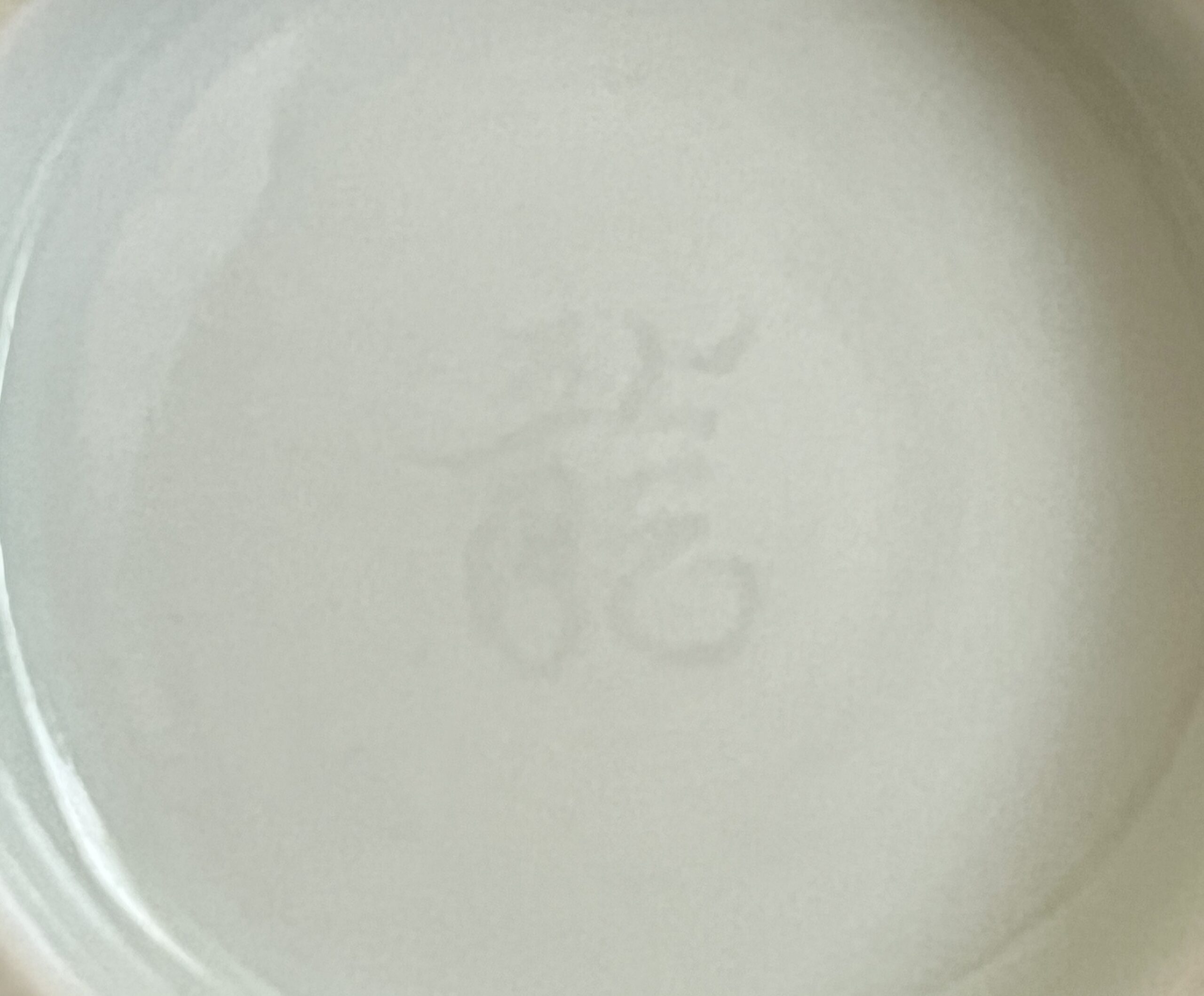 市川龍仙 （龍男）　色鍋島　猪口　ぐい呑　酒盃　酒器の陶印