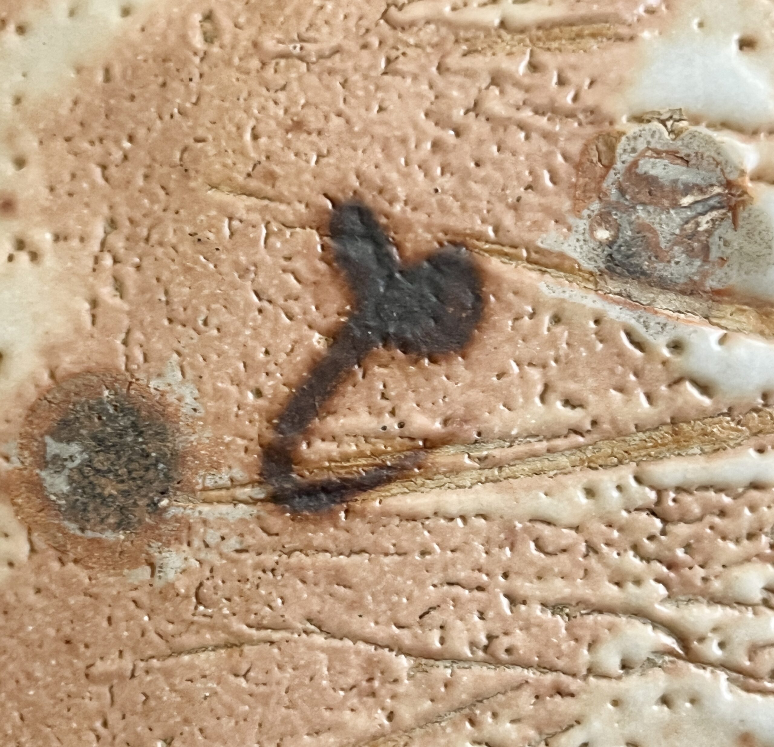 若尾利貞　志野　銘々皿　六客　六枚　懐石　会席　和食器の陶印