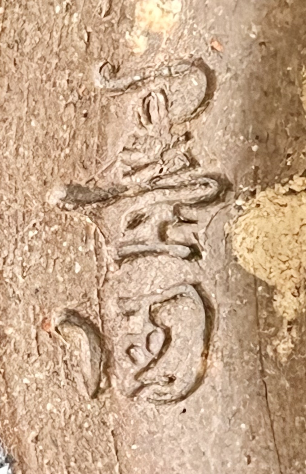 韓国作家 金太漢 墨田窯 高麗 窯変天目 茶碗 銘 和心 大徳寺 神波東獄書付 茶道具の陶印