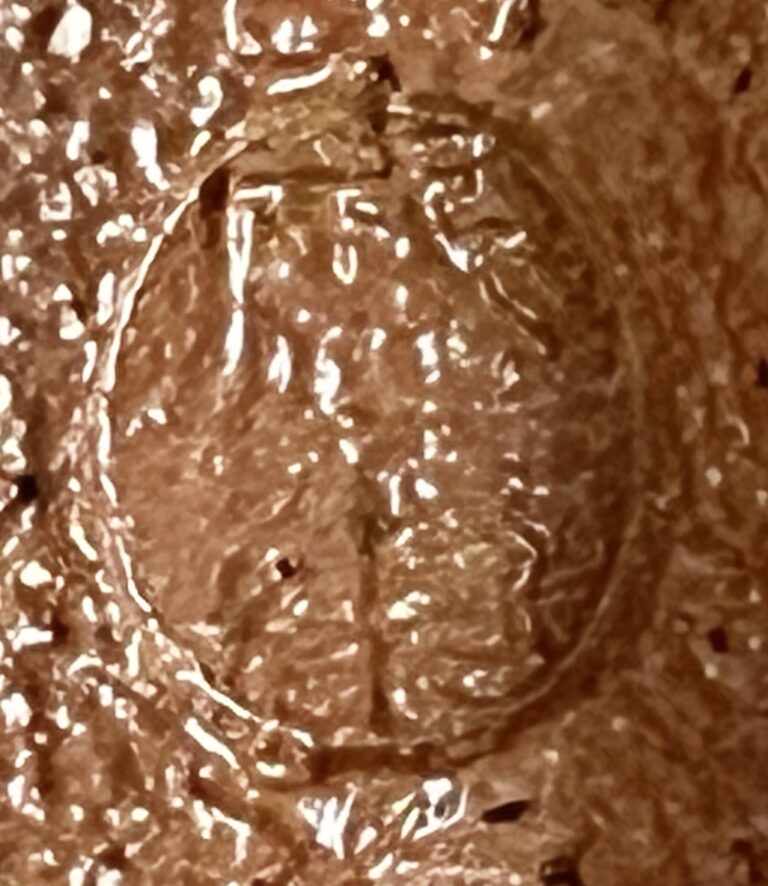 木村盛康 （兄 木村盛和） 油滴　天目釉　茶碗　茶道具の陶印