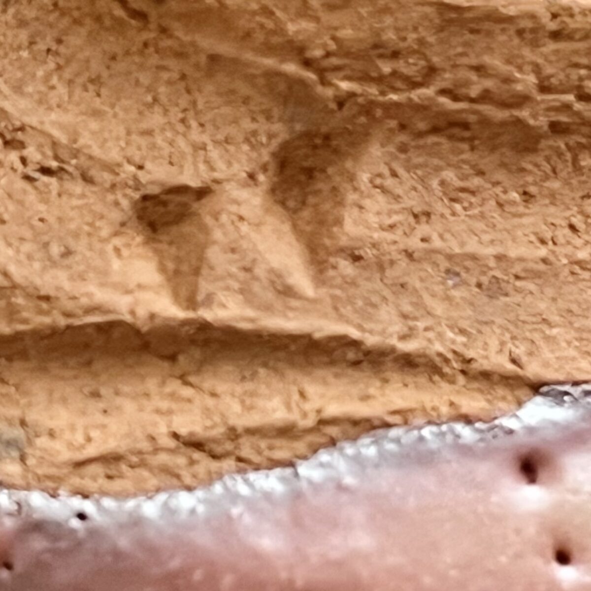 鈴木都　紫志野　ぐい呑　酒盃　酒器の陶印