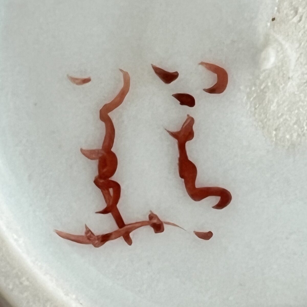 須田菁華　九谷焼　色絵　風物文　酒器　徳利　ぐい呑　酒盃　酒器揃いの陶印