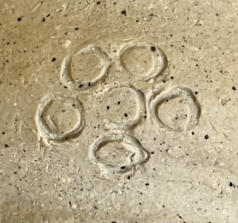 森陶岳　備前　寒風大窯　ぐい呑　酒盃　酒器の陶印