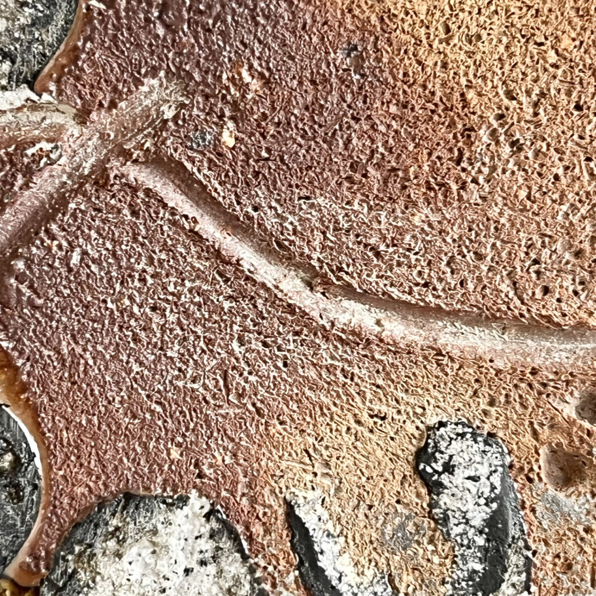 西浦武　越前焼　扁壷　高さ33.0㎝　花入　花瓶　花器　茶道具の陶印