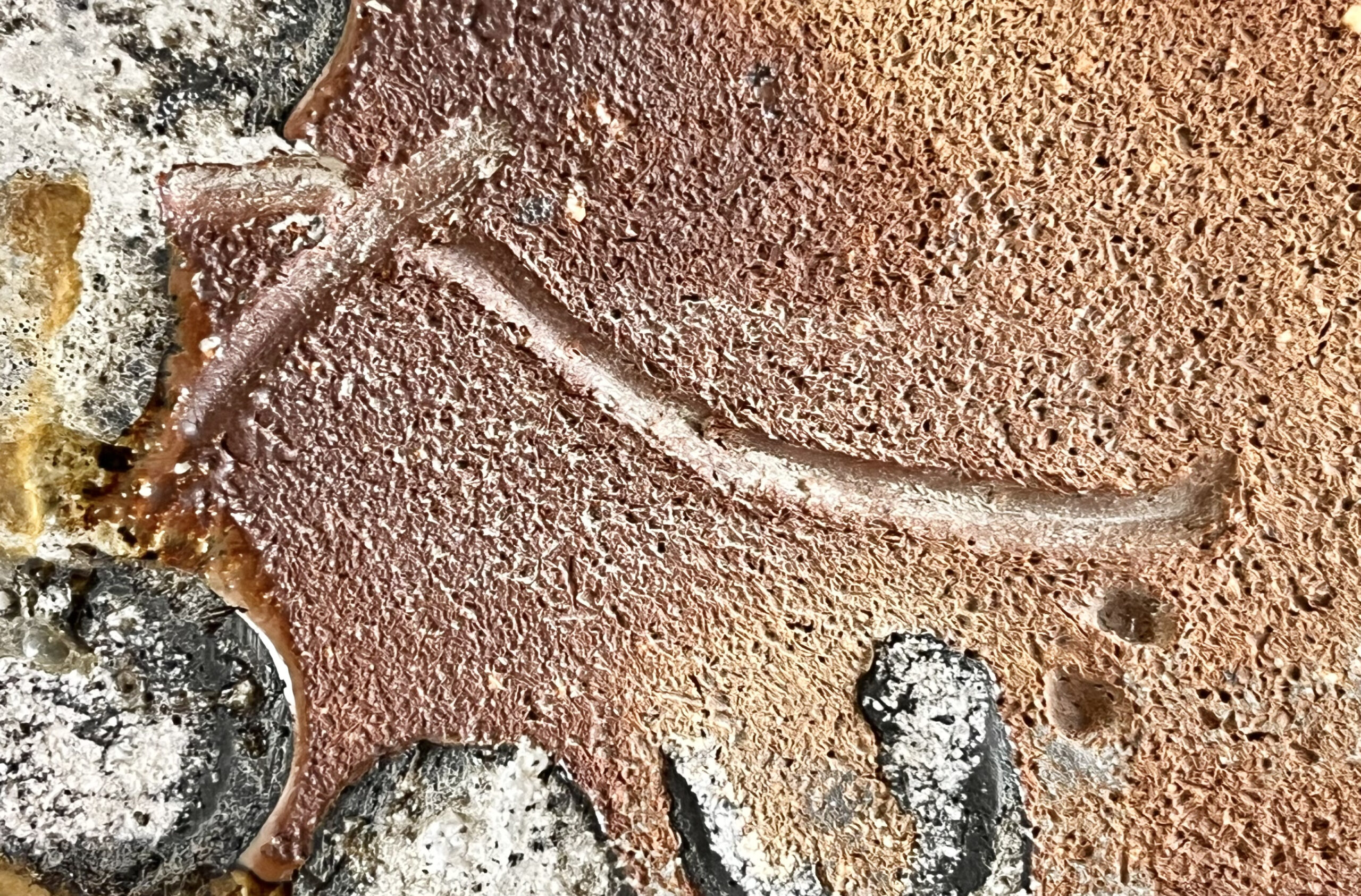 陶印（作印）：底面にございます