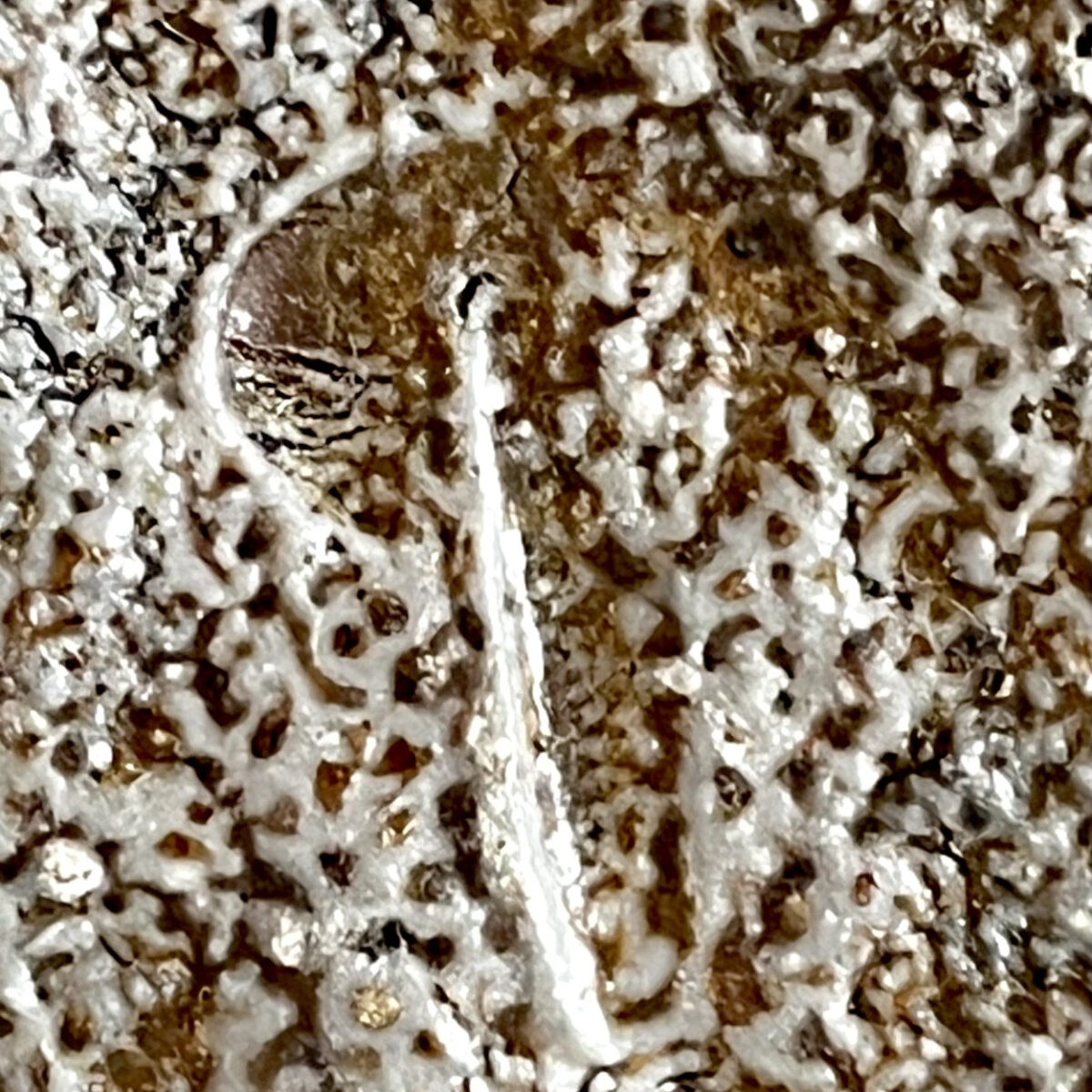 西川政美 （師 人間国宝 金重陶陽） 備前　窯変　胡麻　花入　耳付　花生　花瓶　花器　茶道具の陶印