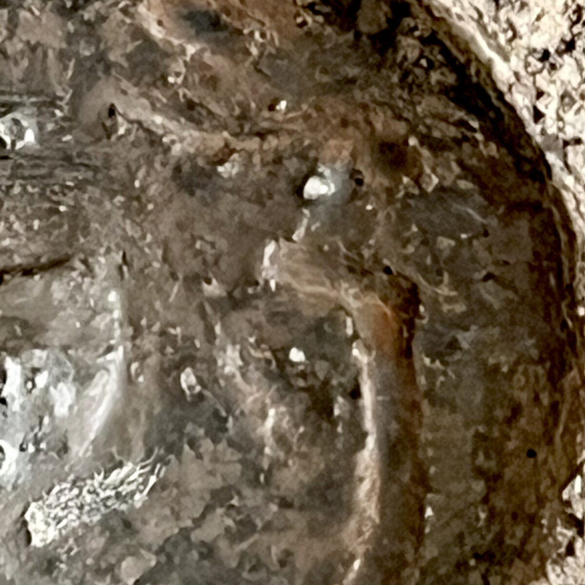 佐伯守美　練込　象嵌　樹木文　茶碗　1995年作　茶道具の陶印