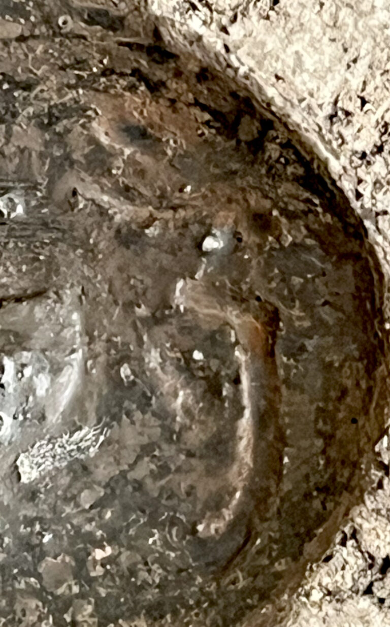 佐伯守美　練込　象嵌　樹木文　茶碗　1995年作　茶道具の陶印