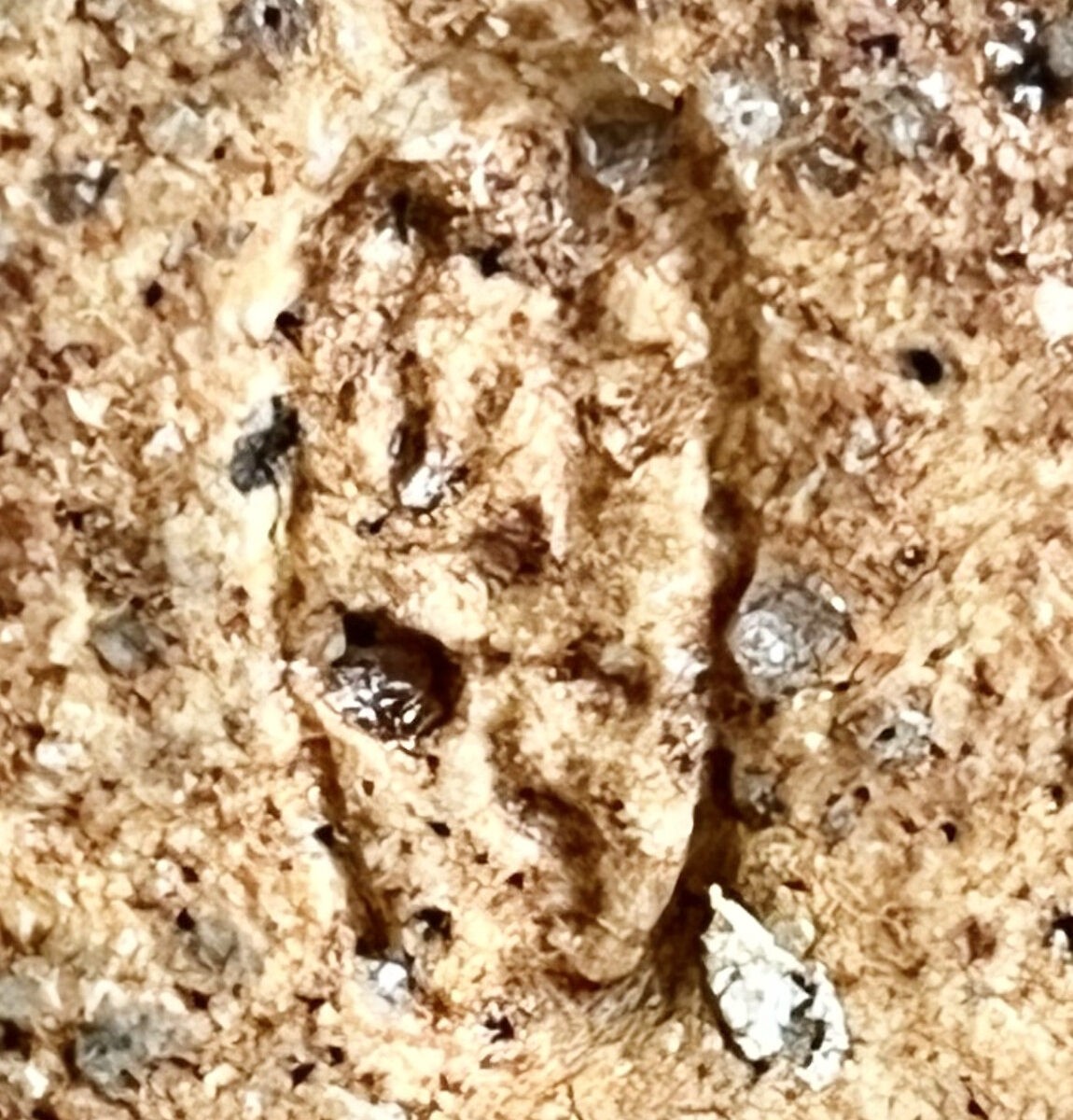 人間国宝　十代 三輪休雪 （休和） 萩焼　花入　茶道具　花瓶　花生　花器の陶印