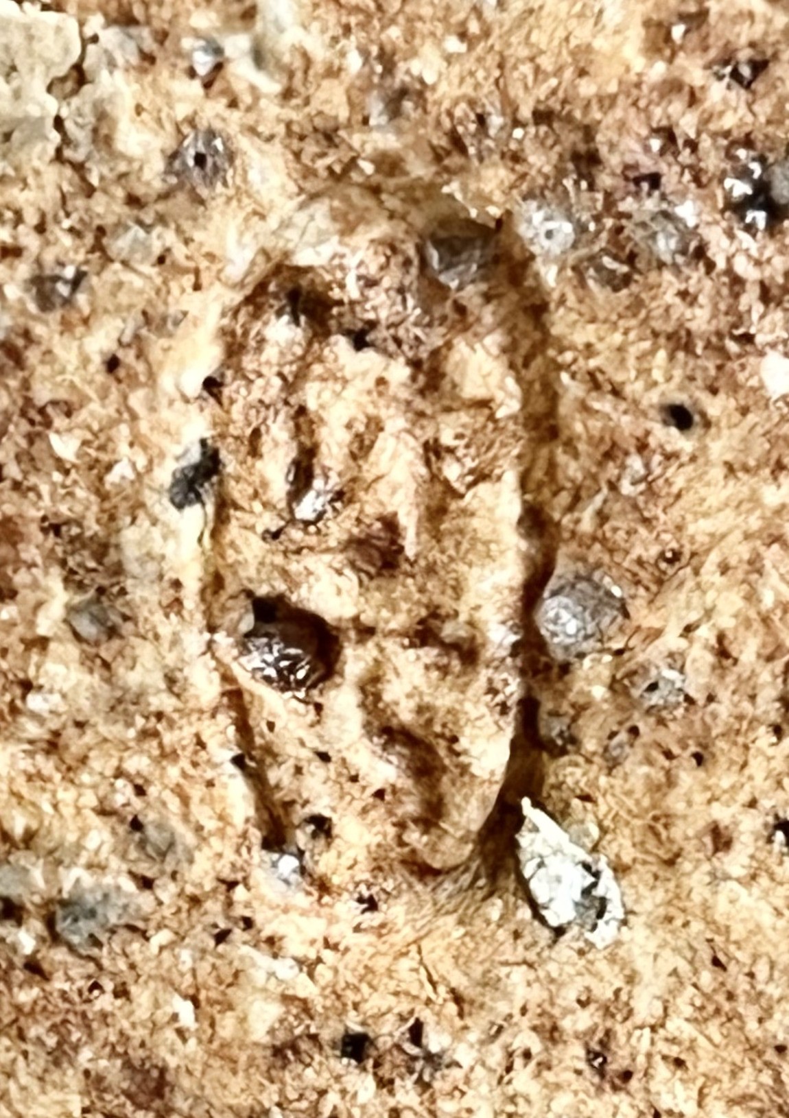 陶印（作印）：底面に『休雪』の印がございます