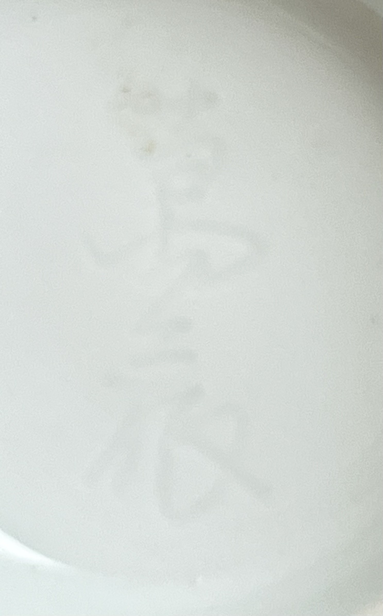 陶印（作印）：高台内に『萬二作』の字がございます