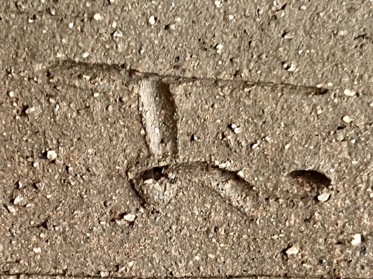 大迫みきお　常滑焼　焼〆　半月皿　六客　銘々皿　焼締　六枚　懐石　会席　和食器の陶印