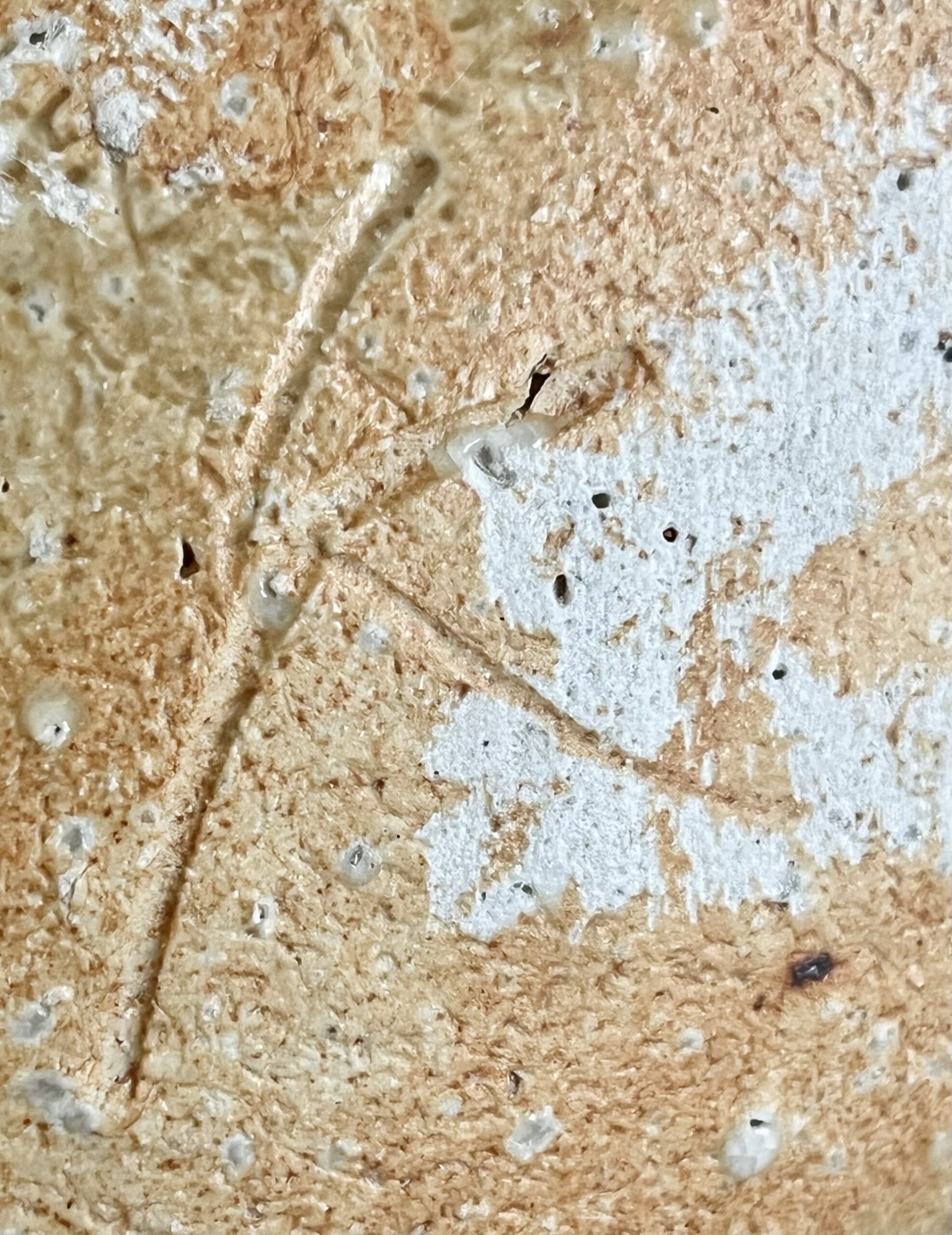 陶印（作印）：底面にございます