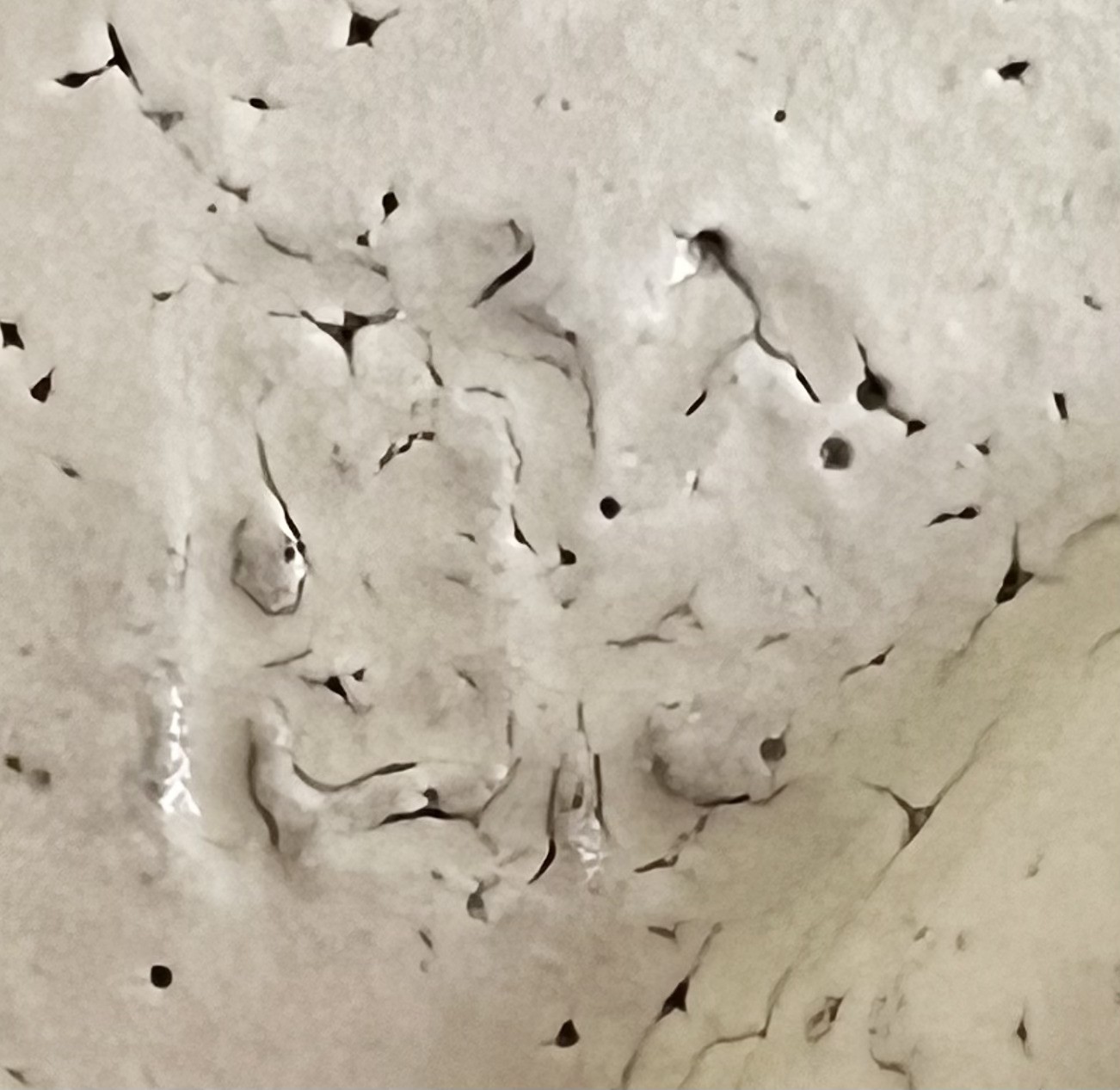 陶印（作印）：高台脇にございます