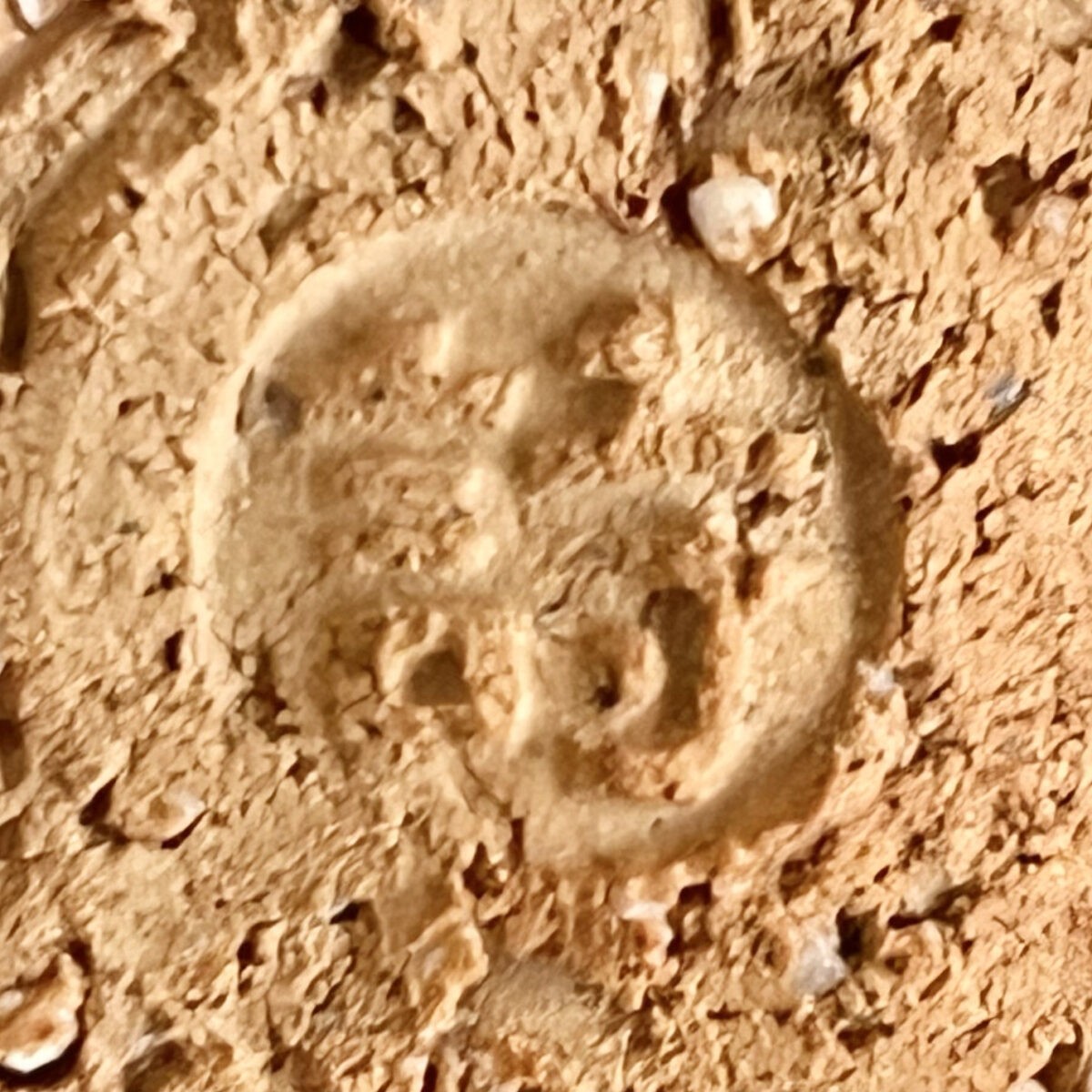 ⚫︎ 渋谷泥詩　北浜山　御台場窯　萩焼　湯呑　五客　湯碗　汲出し碗　茶器の陶印