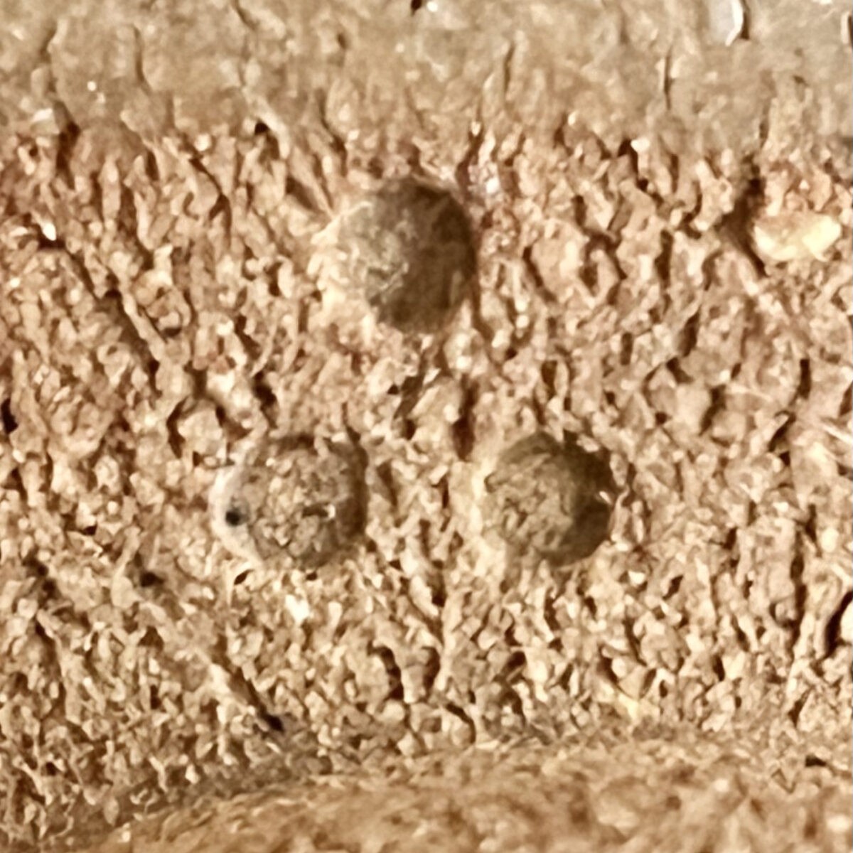 十二代 中里太郎右衛門　御茶碗窯　絵唐津　茶碗　茶道具の陶印