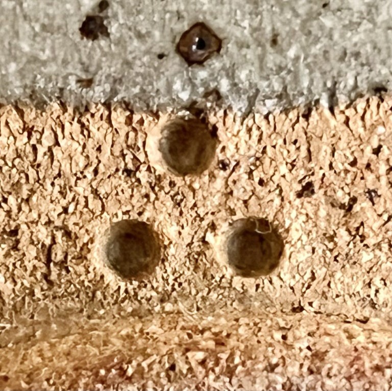 十三代 中里太郎右衛門窯　絵唐津　銘々皿　五客　五枚　懐石　会席　和食器の陶印