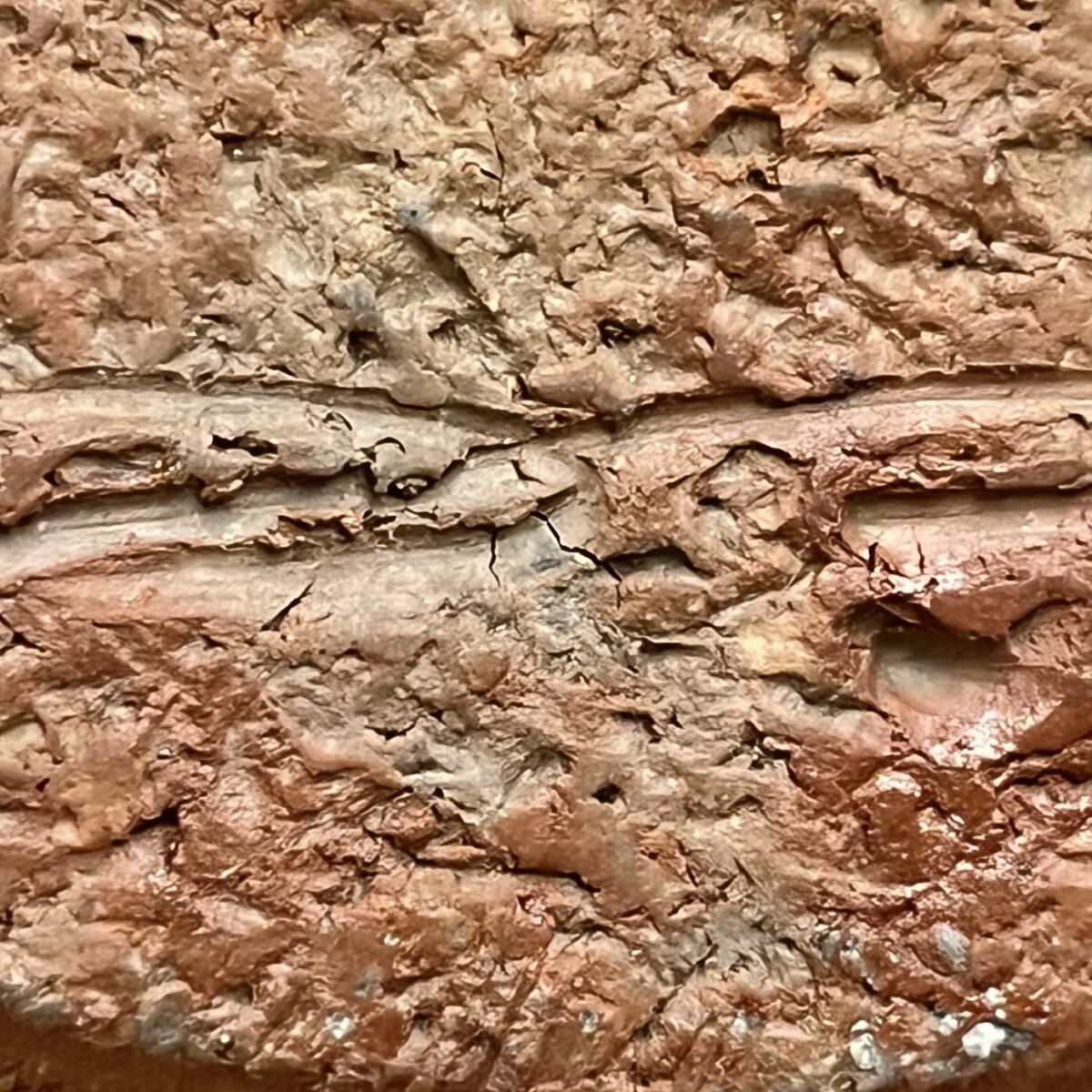 木村隆明　備前　壷　胴径25.5㎝　緋襷　大壷　花入　花器の陶印