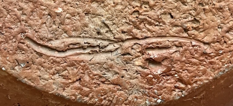 木村隆明　備前　壷　胴径25.5㎝　緋襷　大壷　花入　花器の陶印