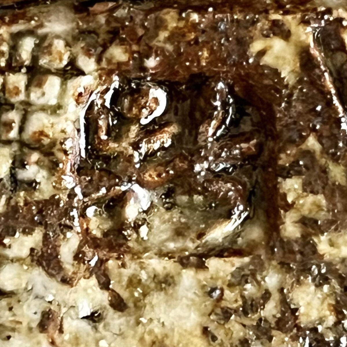 新歓嗣　伊賀　草文皿　胴径32.5㎝　角皿　飾り皿の陶印