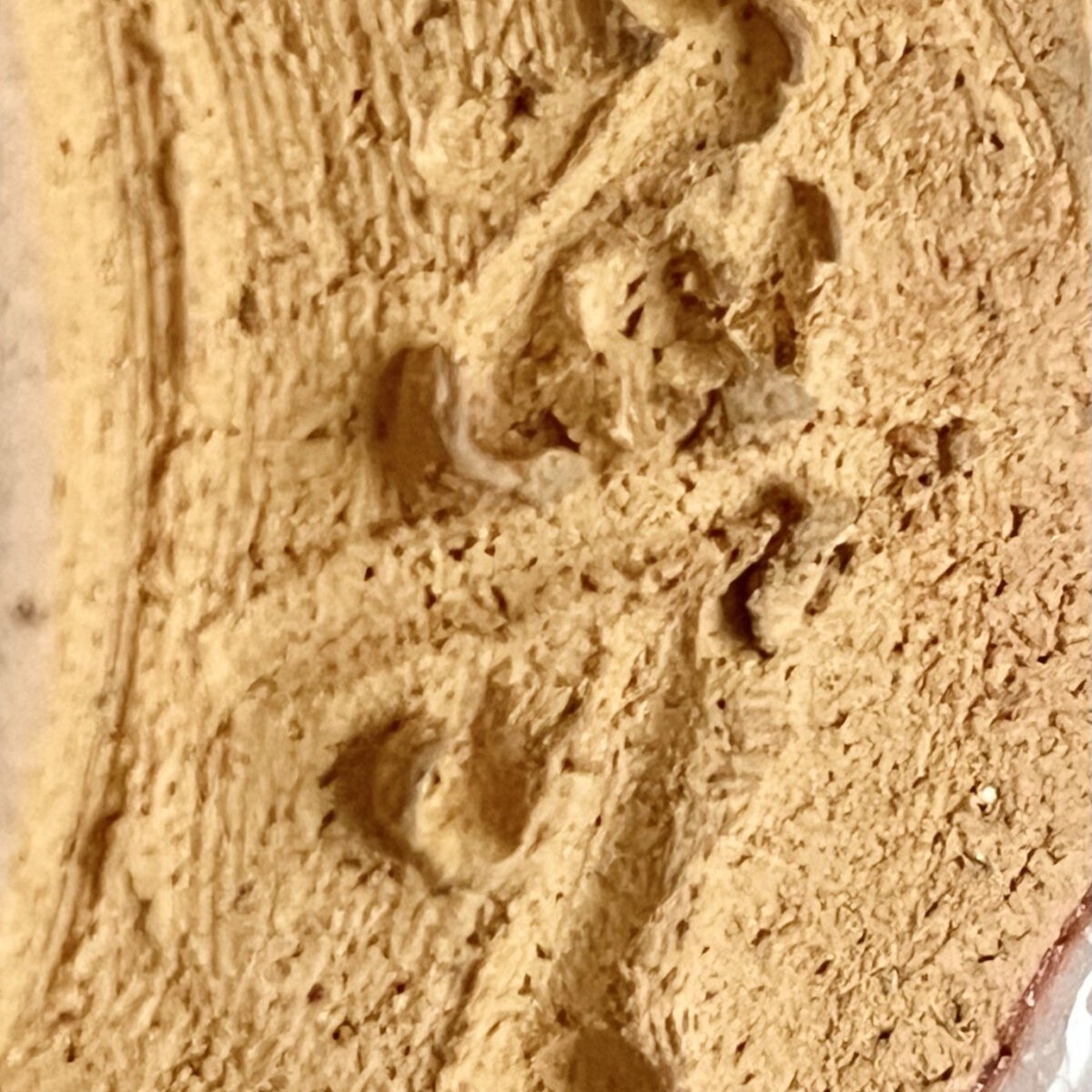 林亮次　荘山窯　志野　茶碗　茶道具の陶印