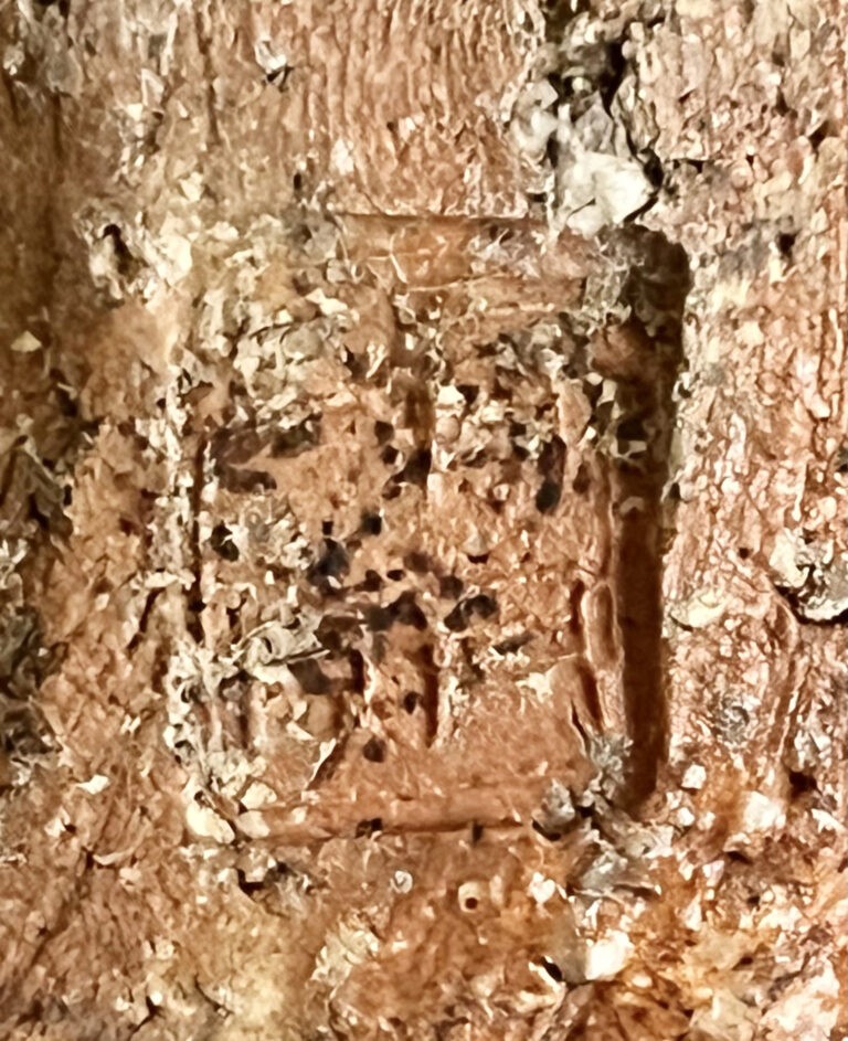 ★ 辻清明　信楽焼　鉢　和食器の陶印