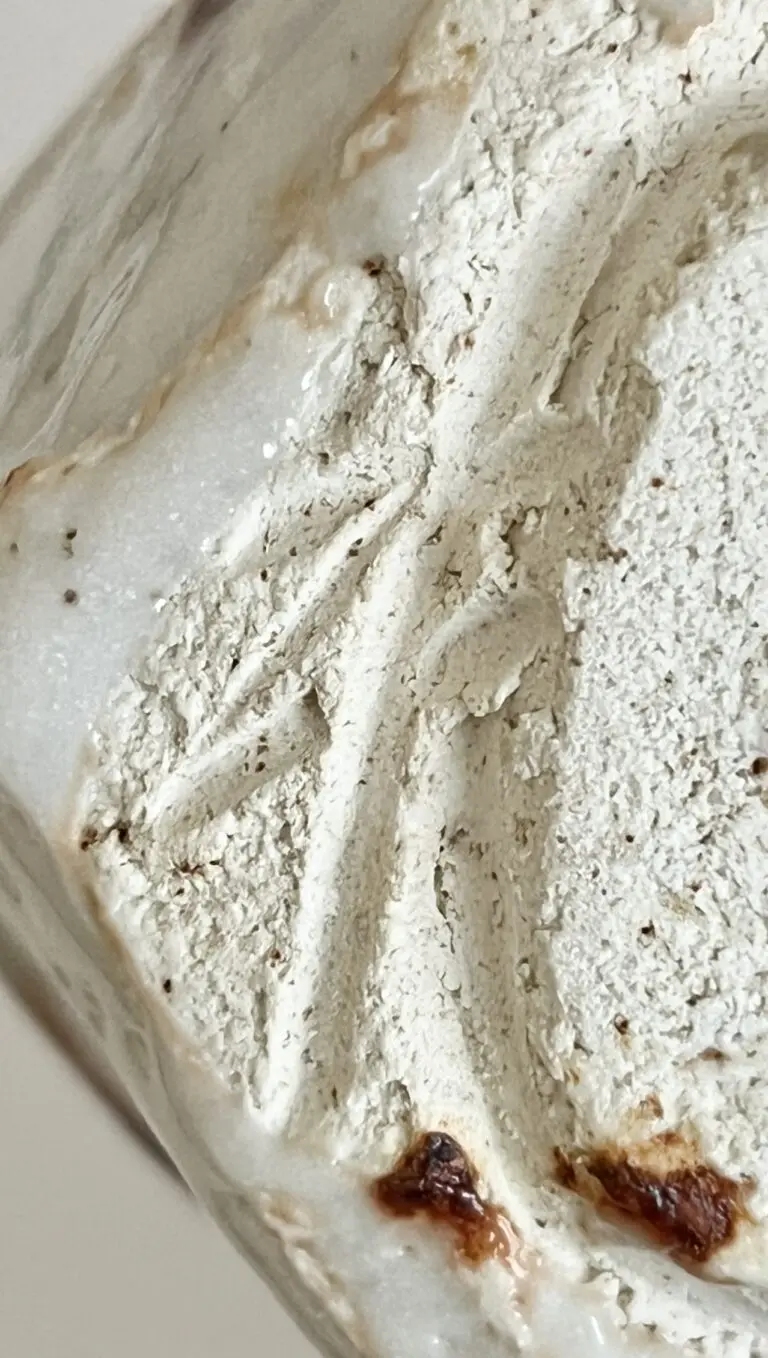 塚本治彦 | 陶酔庵 -tousuian-