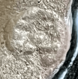 陶印（作印）：高台脇に『幸』の印があります