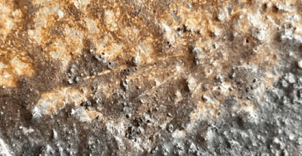 陶印（作印）：底面にございます