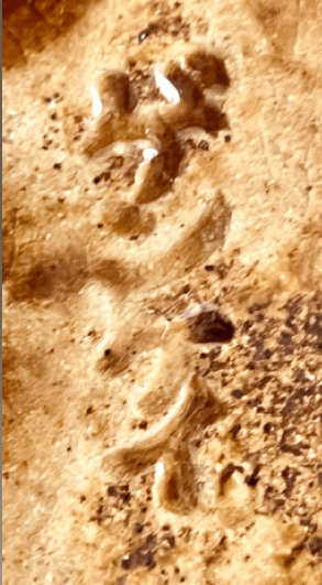 陶印（作印）：底面に『ゲンケイ』の印があります