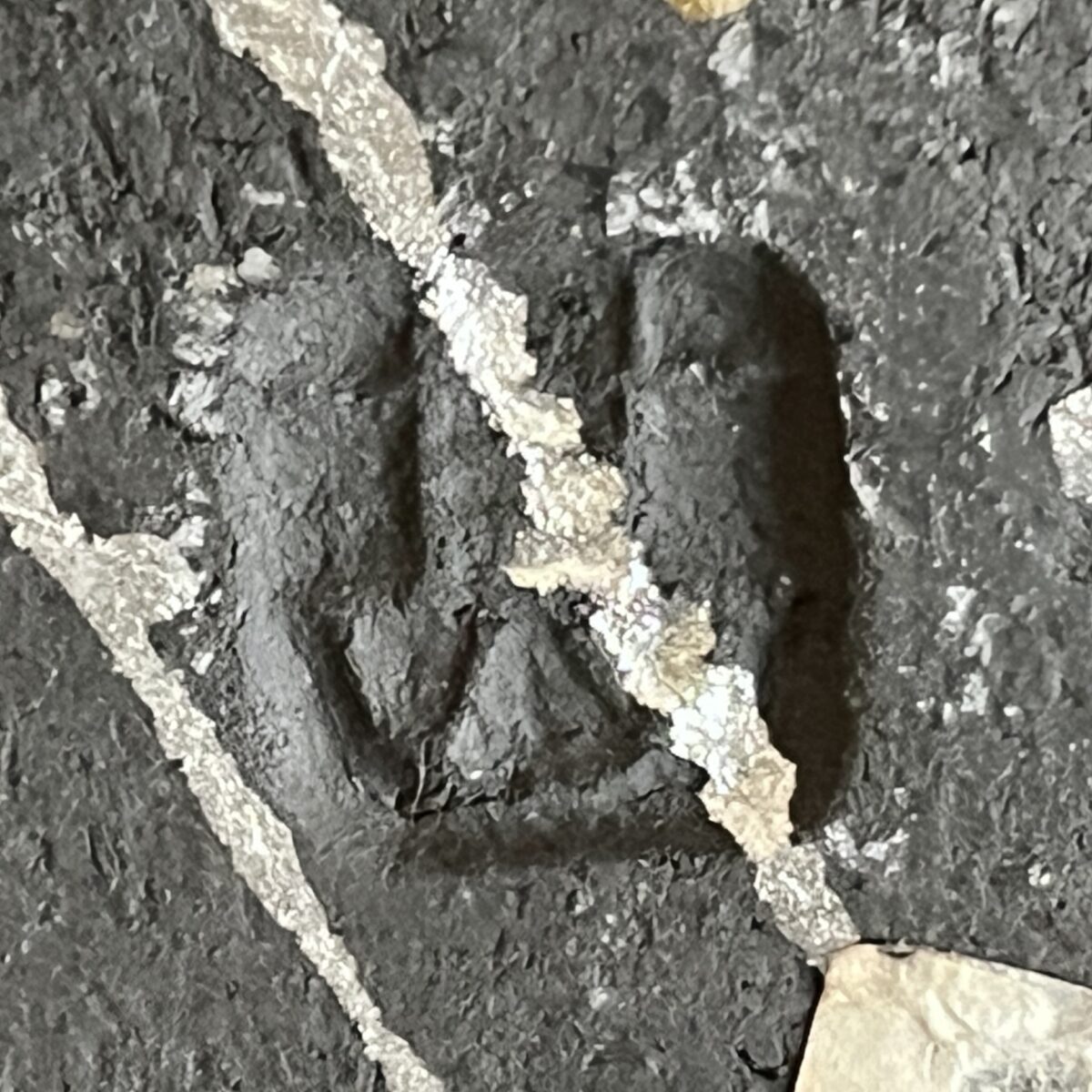 坂田甚内 （師 加守田章二） 益子焼　瓢形　黒陶　金銀彩　大鉢　胴径34.0㎝　モダン　和食器　現代アートの陶印