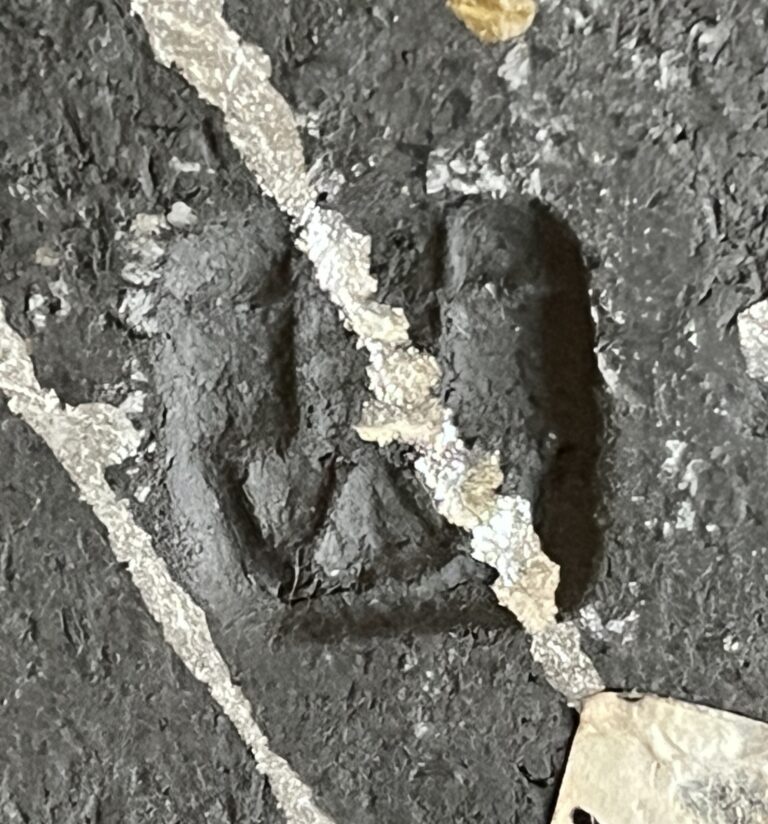 坂田甚内 （師 加守田章二） 益子焼　瓢形　黒陶　金銀彩　大鉢　胴径34.0㎝　モダン　和食器　現代アートの陶印