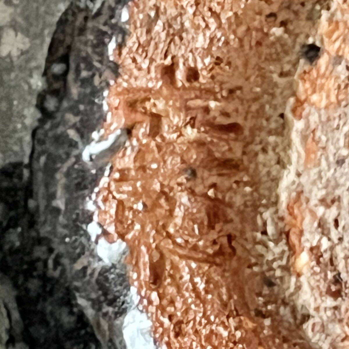 木村盛和　油滴　天目釉　ぐい呑　酒盃　酒器の陶印