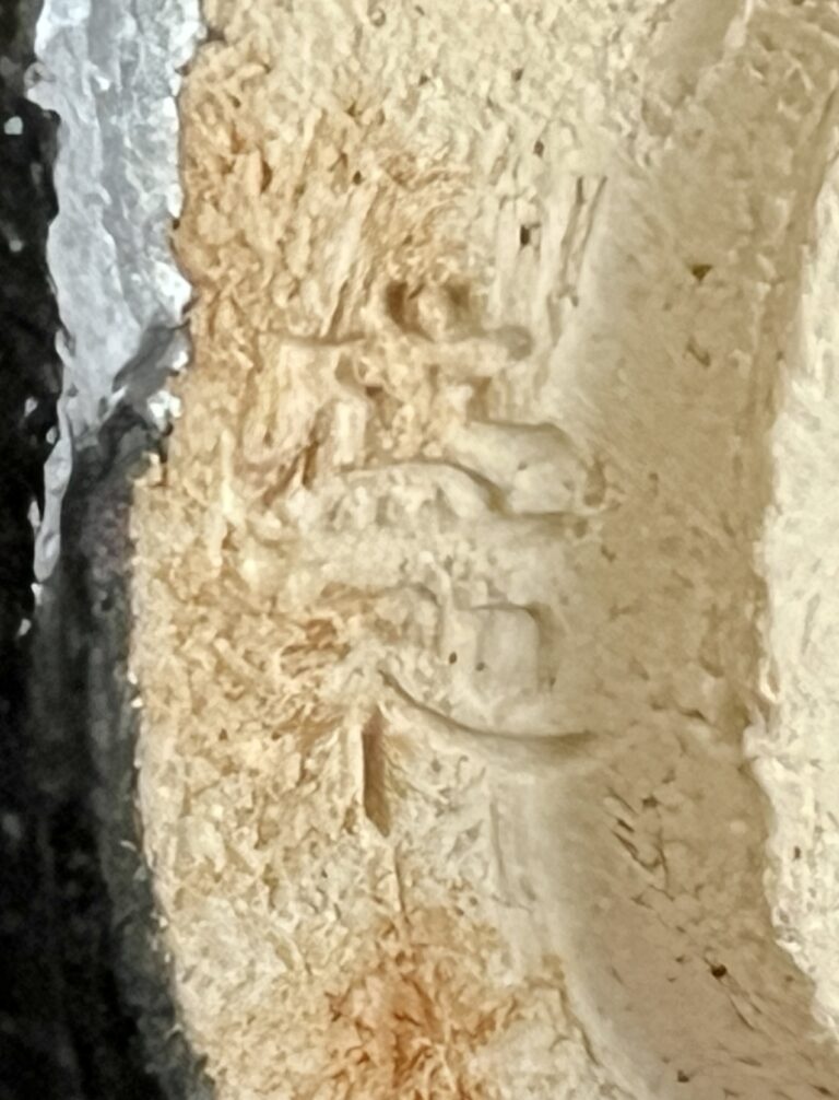 木村盛和　油滴　天目釉　ぐい呑　酒盃　酒器　②の陶印