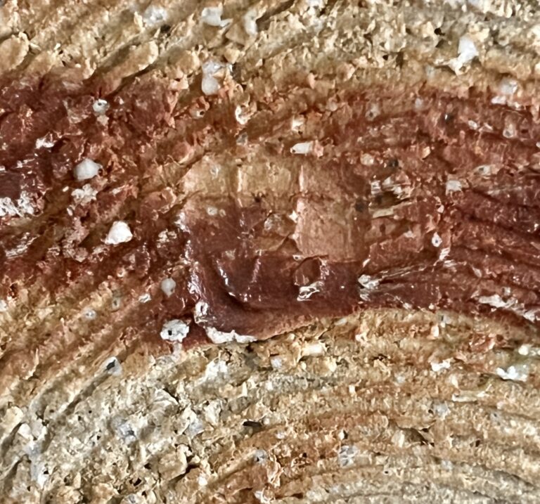 坂田甚内　益子焼　波状文　半月皿　二枚　モダン　現代アート　懐石　会席　和食器の陶印