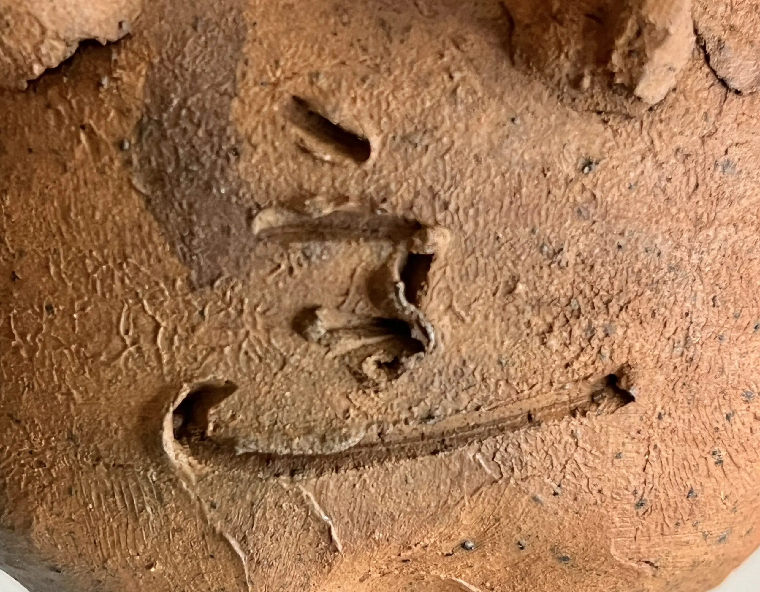 中里隆 （父 人間国宝 中里無庵） 唐津南蛮 鴨徳利 酒器 焼締 種子島