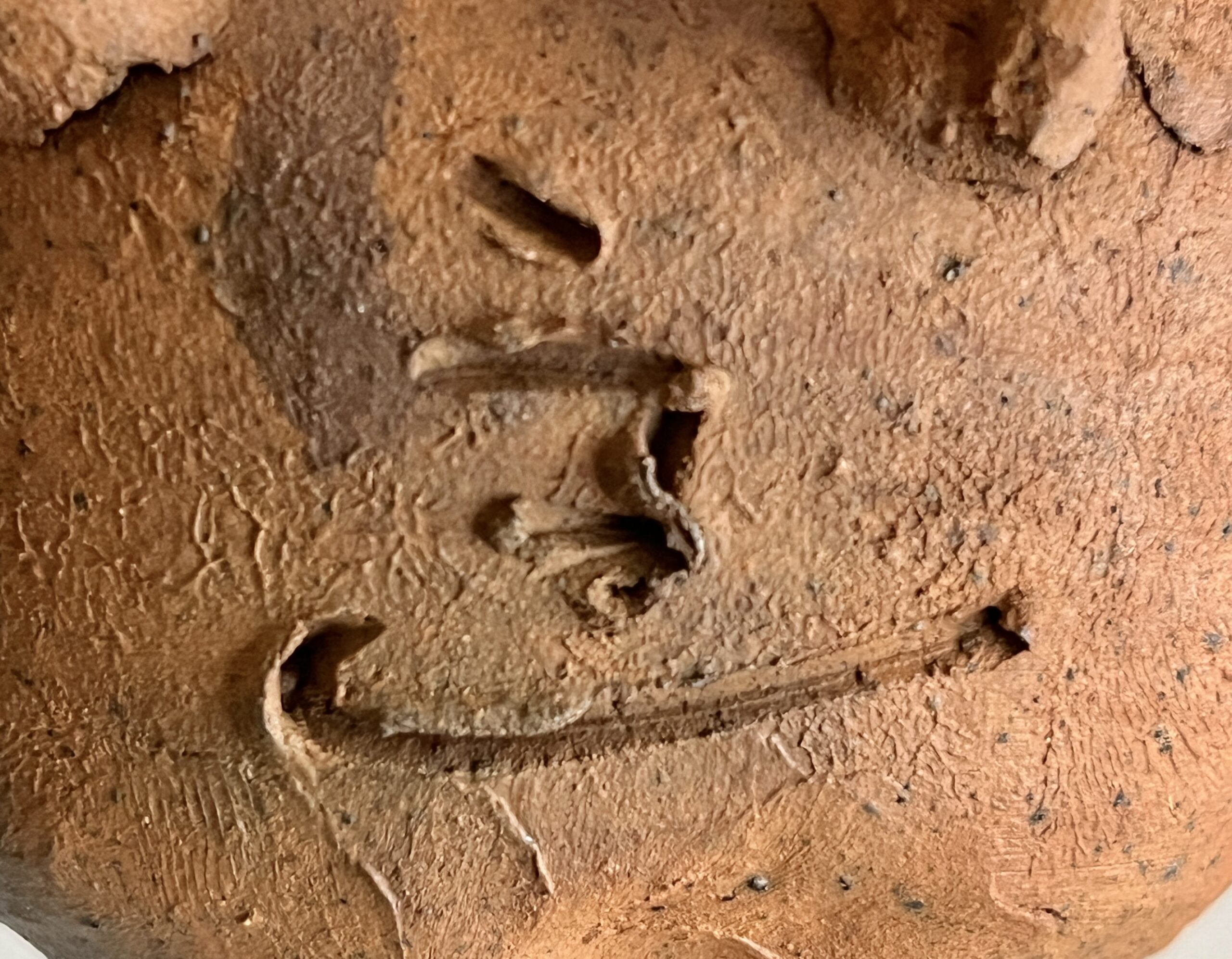 陶印（作印）：腹部にございます