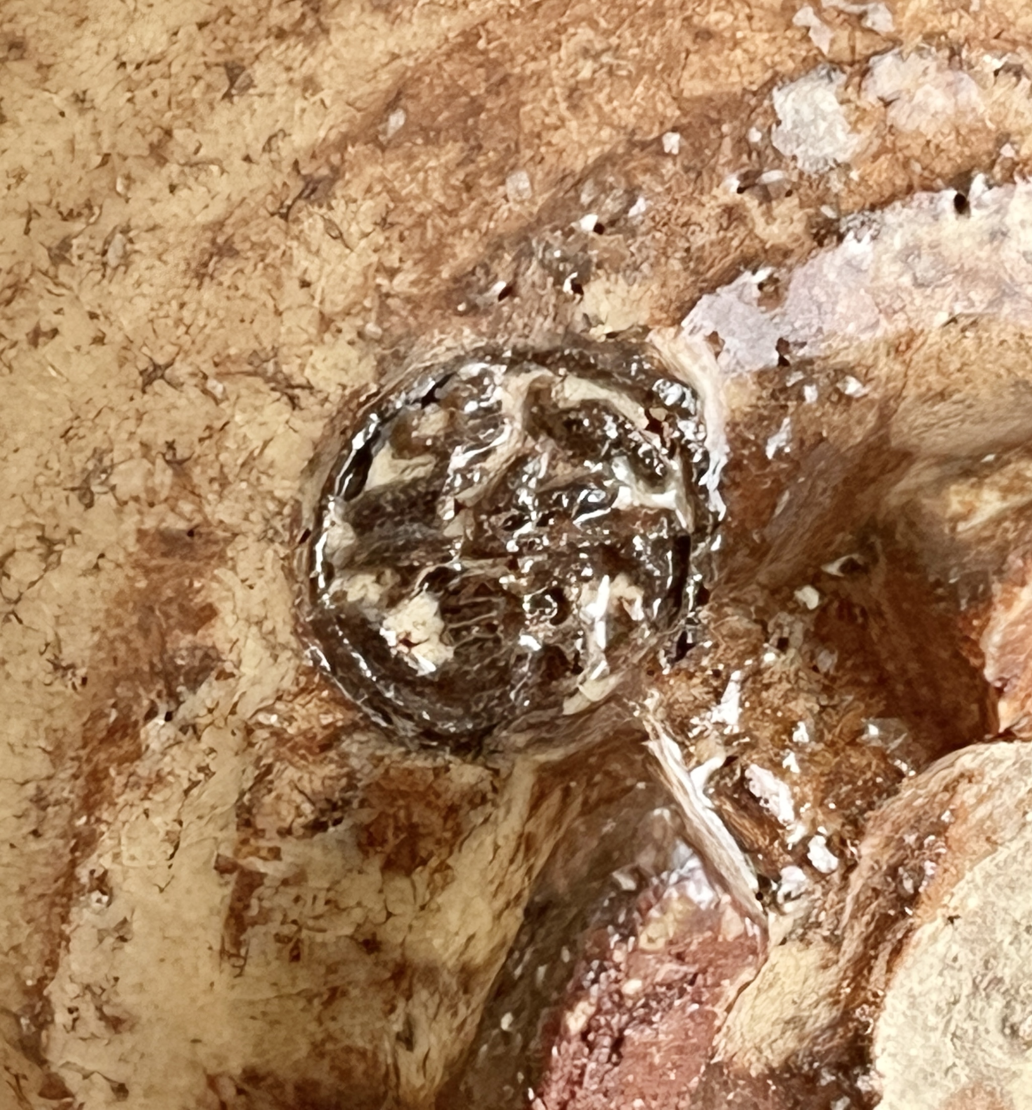 陶印（作印）：高台脇に『新兵衛』の印がございます