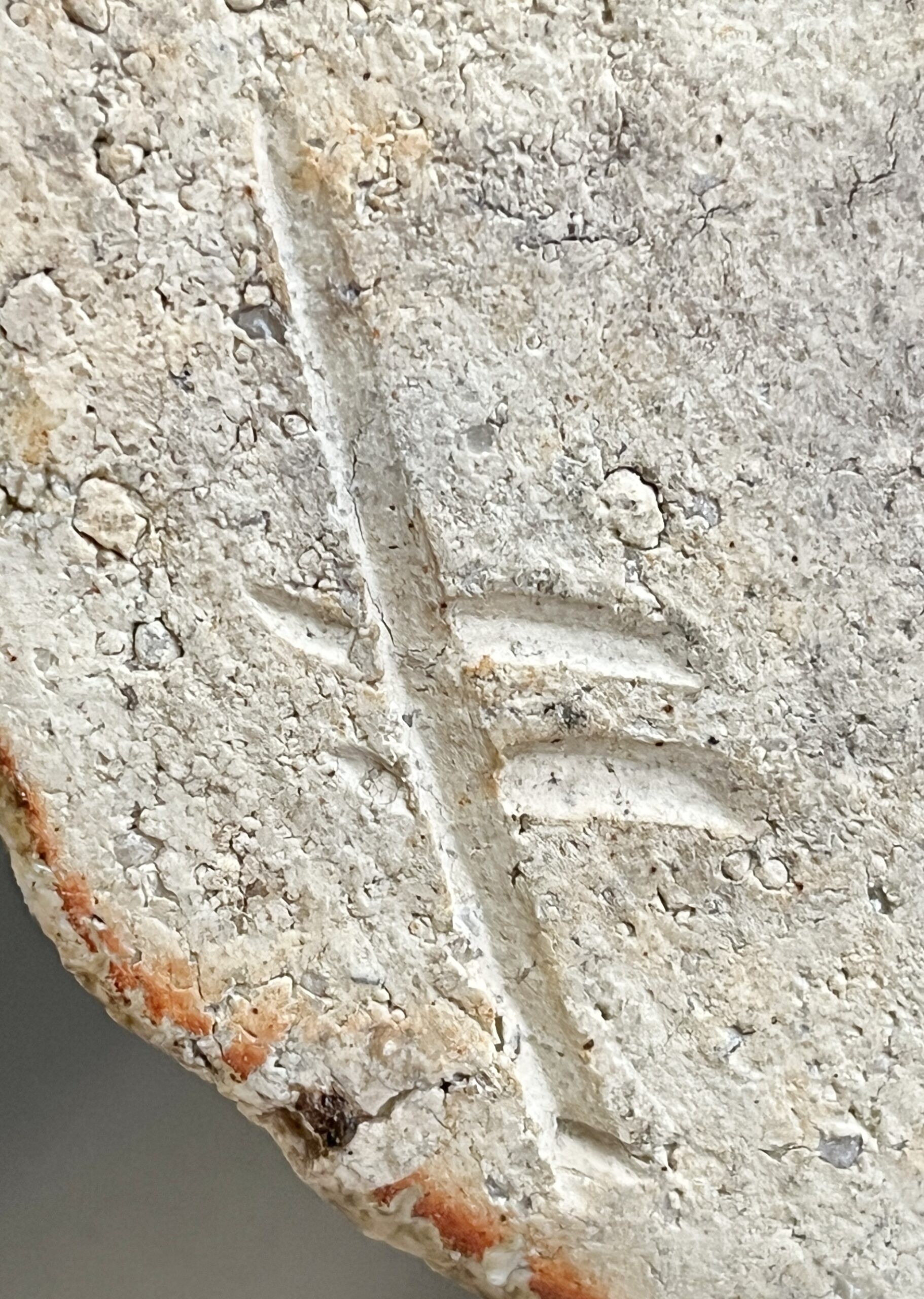 澤清嗣 信楽 水指 塗り蓋 茶道具の陶印