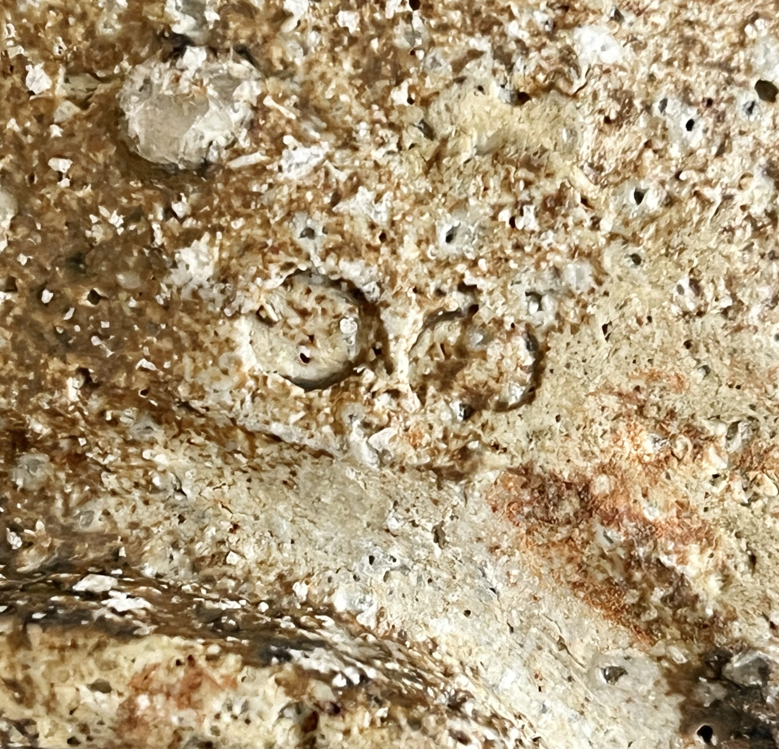 ★ 作者不詳　作家在銘　和　茶碗　茶道具の陶印