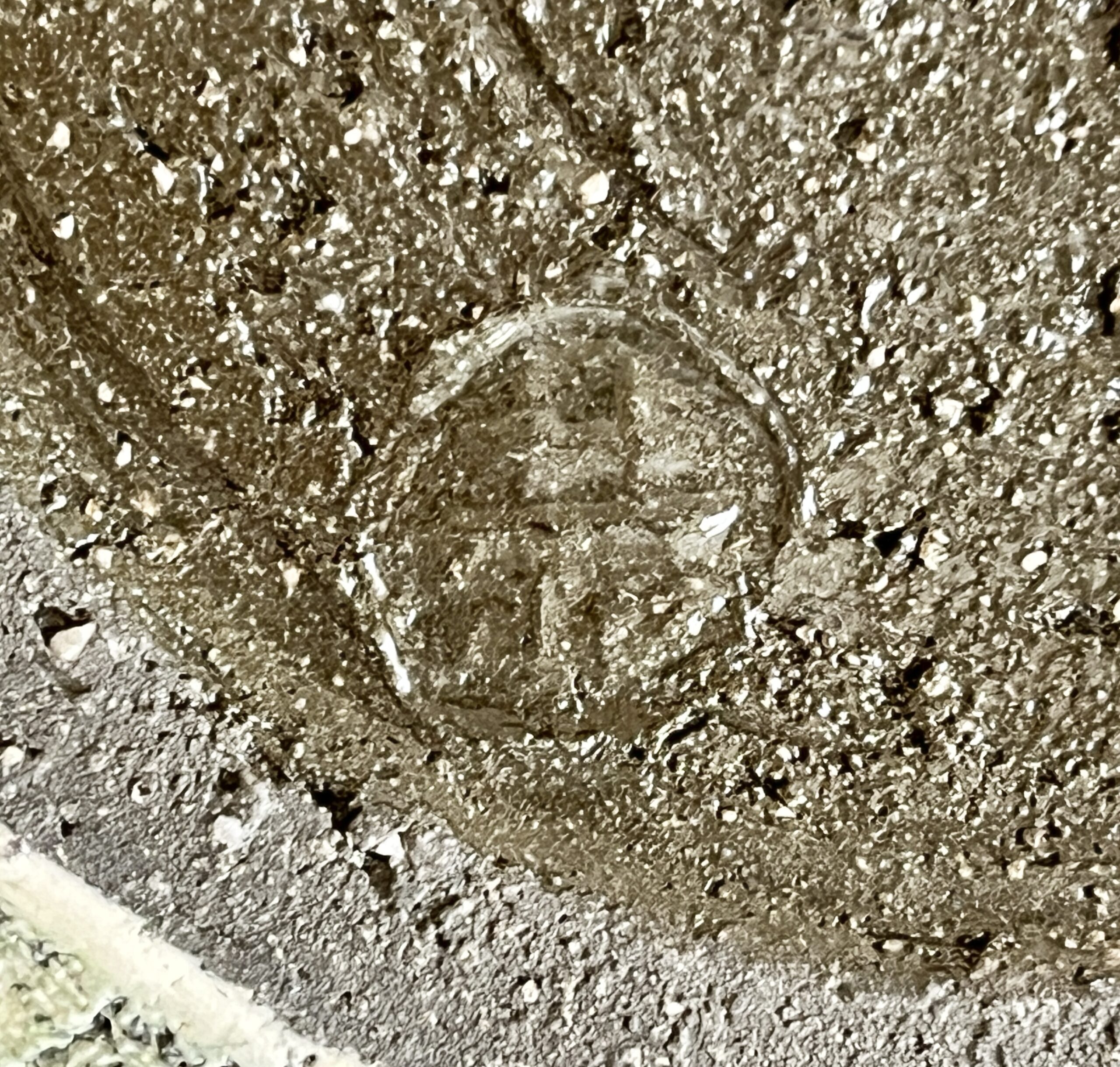 ★ 島田恭子　益子焼　桜文　水指　茶道具　布目色絵金彩の陶印