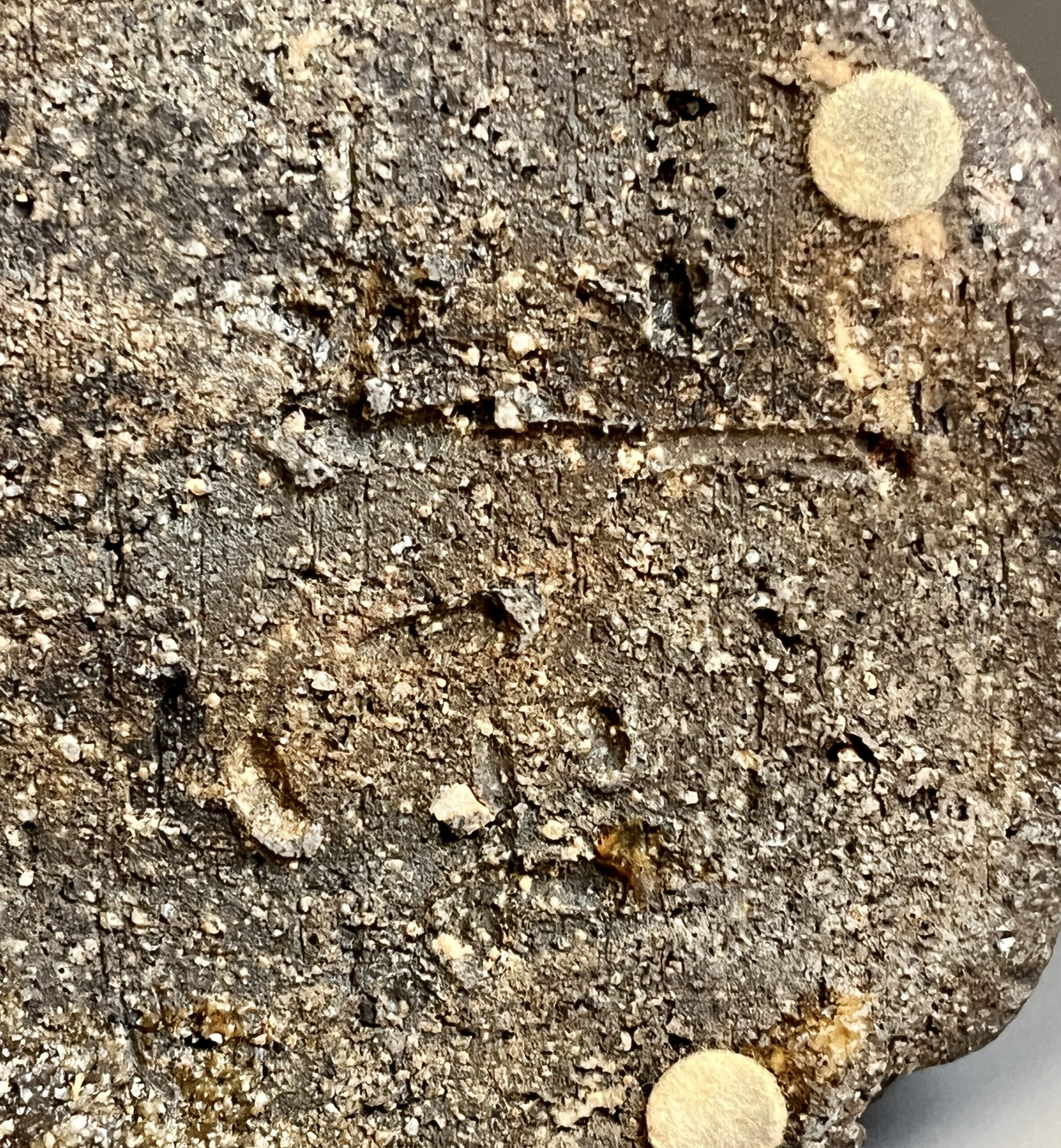 ★ 坪島土平 （師 川喜田半泥子） 伊勢神宮御用窯　大わび釉　耳付き花入　高さ25.7㎝　花瓶　花器　茶道具の陶印