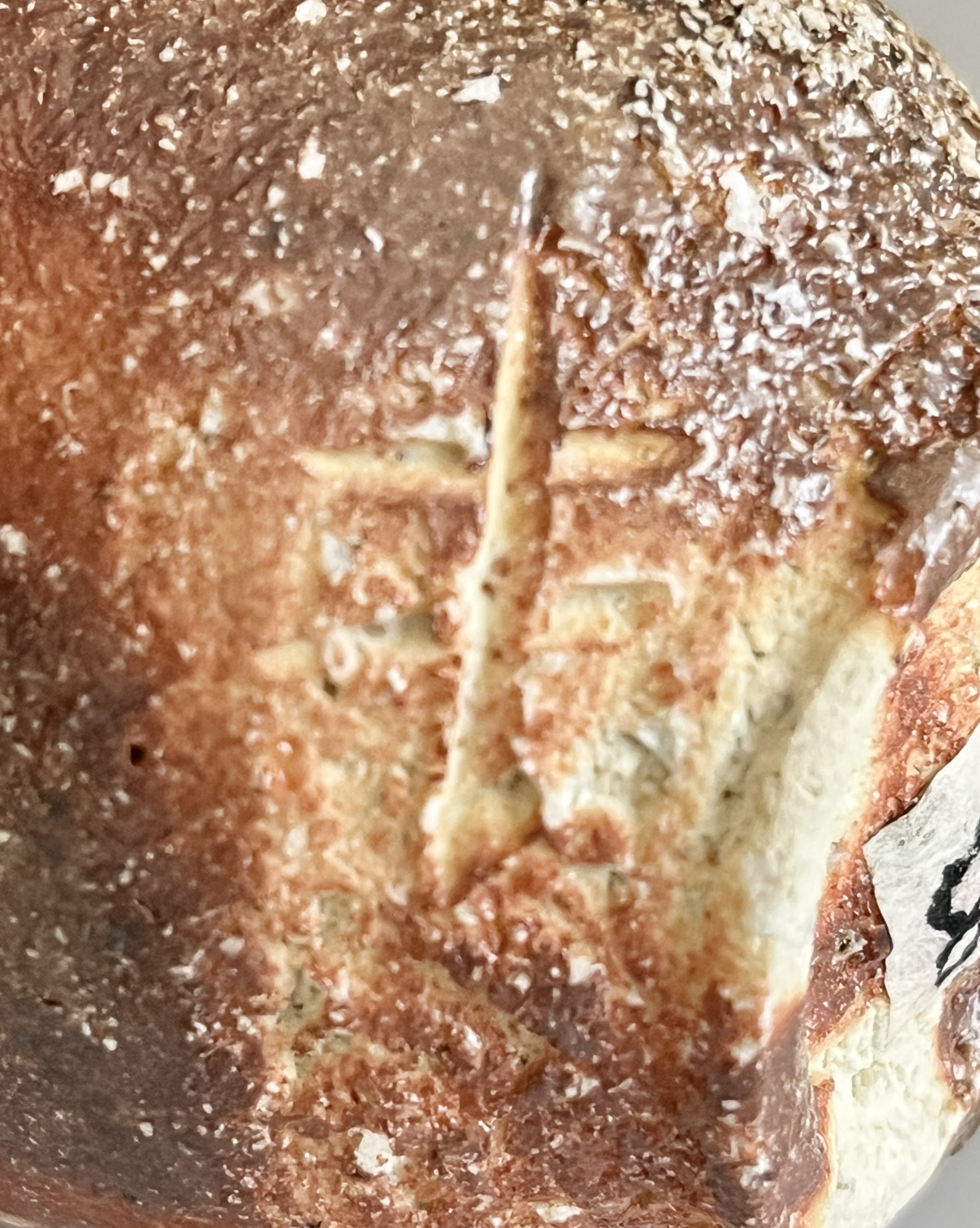 ★ 澤清嗣　信楽焼　ぐい呑　酒盃　酒器の陶印