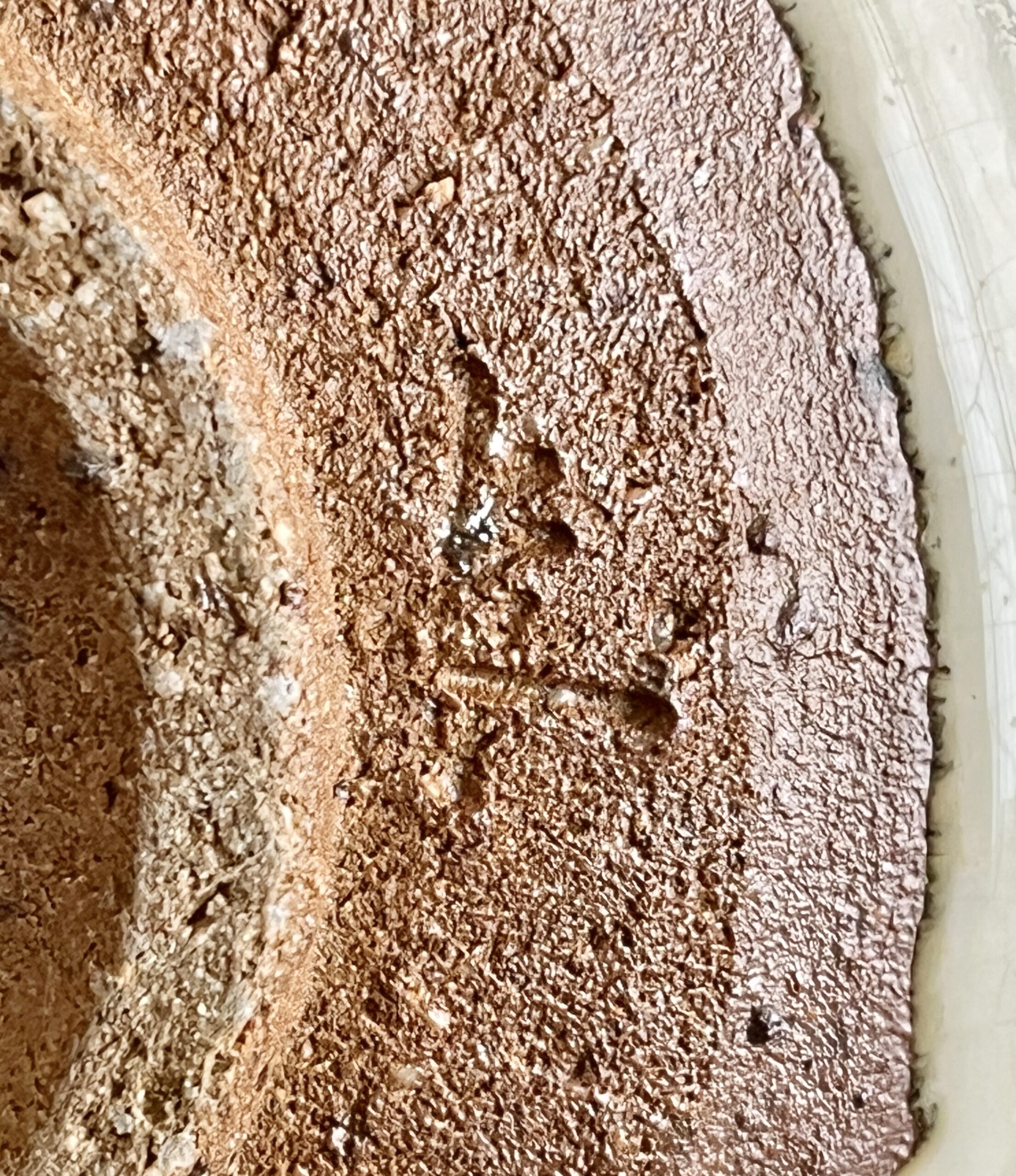 ★ 西岡良弘 （父 西岡小十） 斑唐津　銘々皿六枚　大皿31.2㎝　六客　組皿　会席　懐石　和食器の陶印