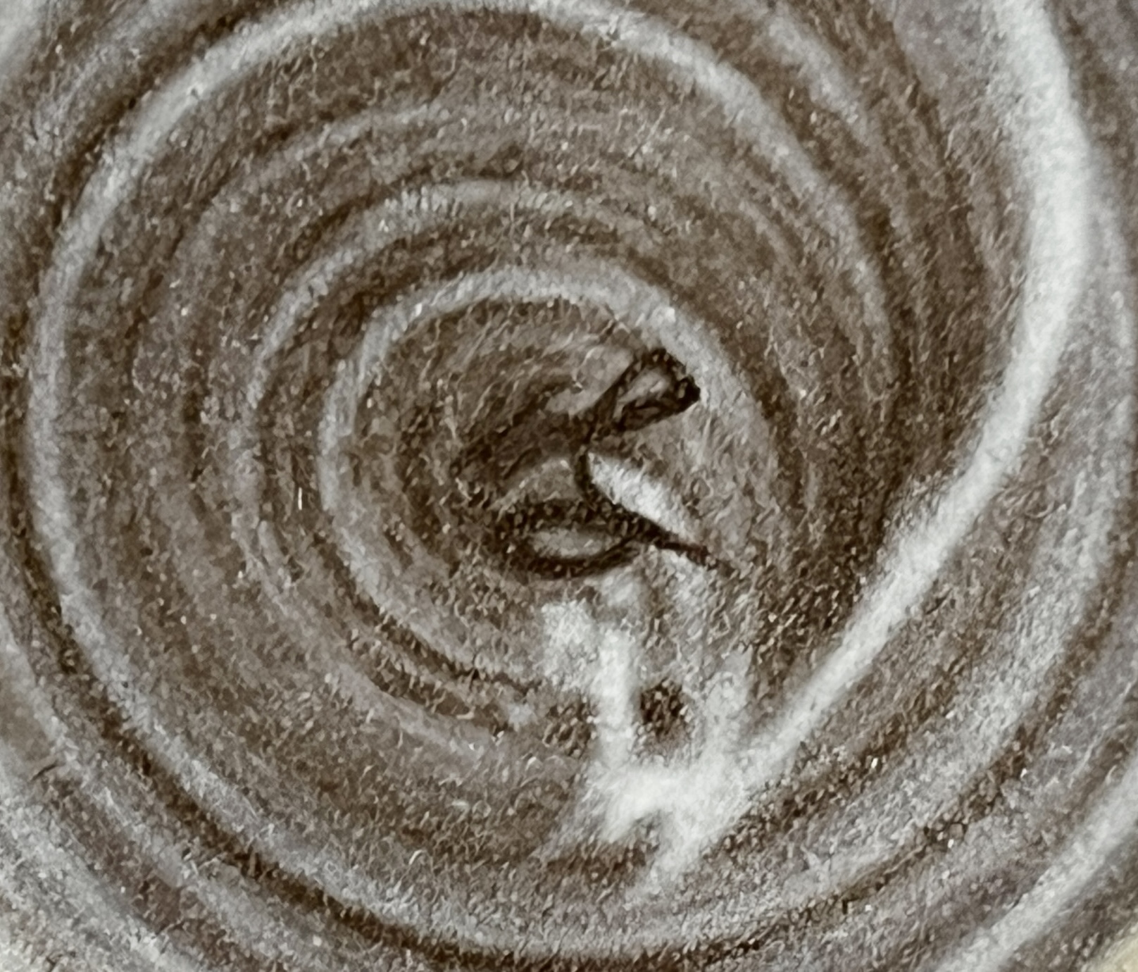 十三代 横石臥牛　現川焼　湯呑　一対　白鷺花文　二客の陶印