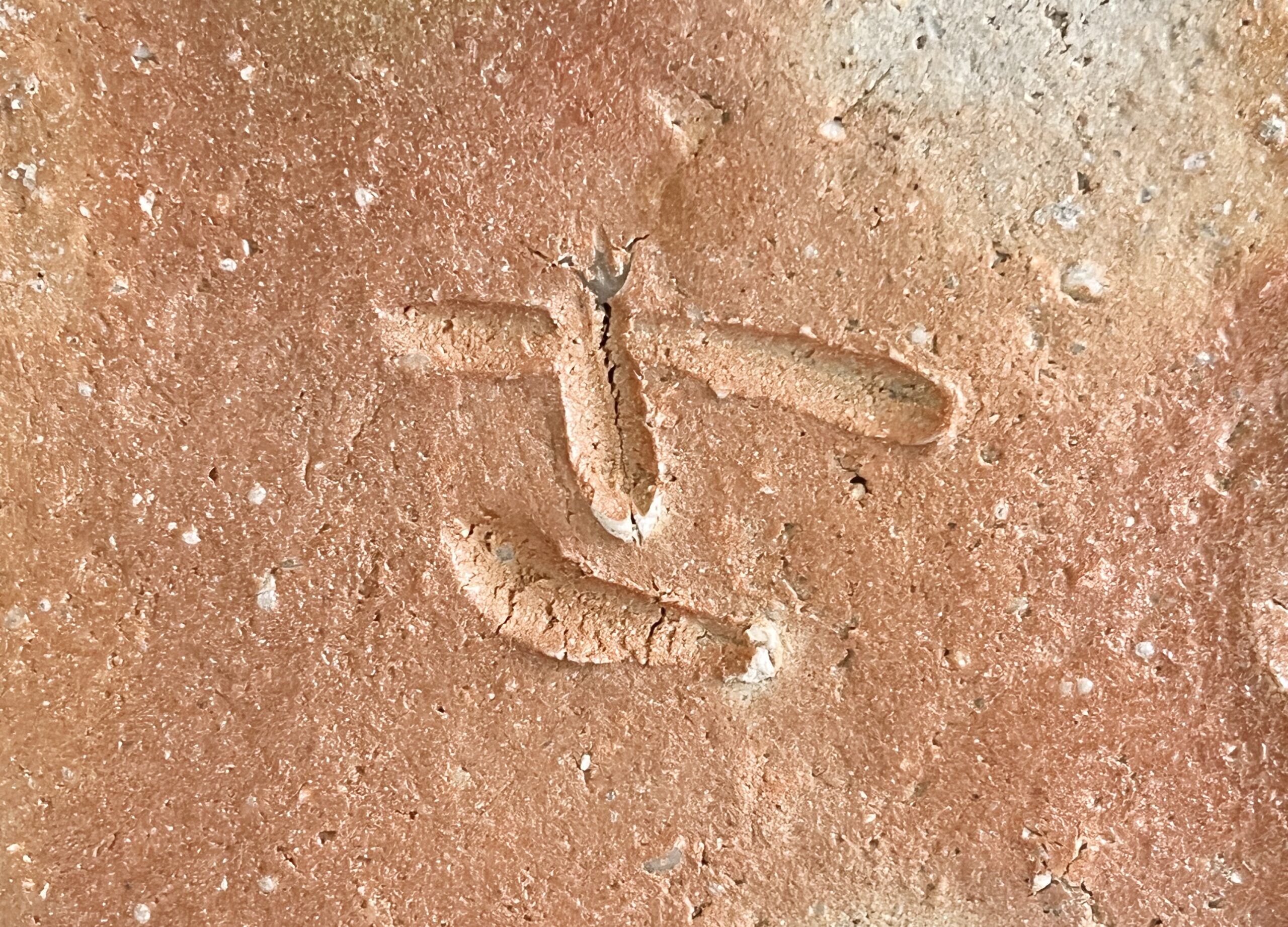 ⚫︎ 杉本貞光　寺垣外　信楽　水指　茶道具の陶印