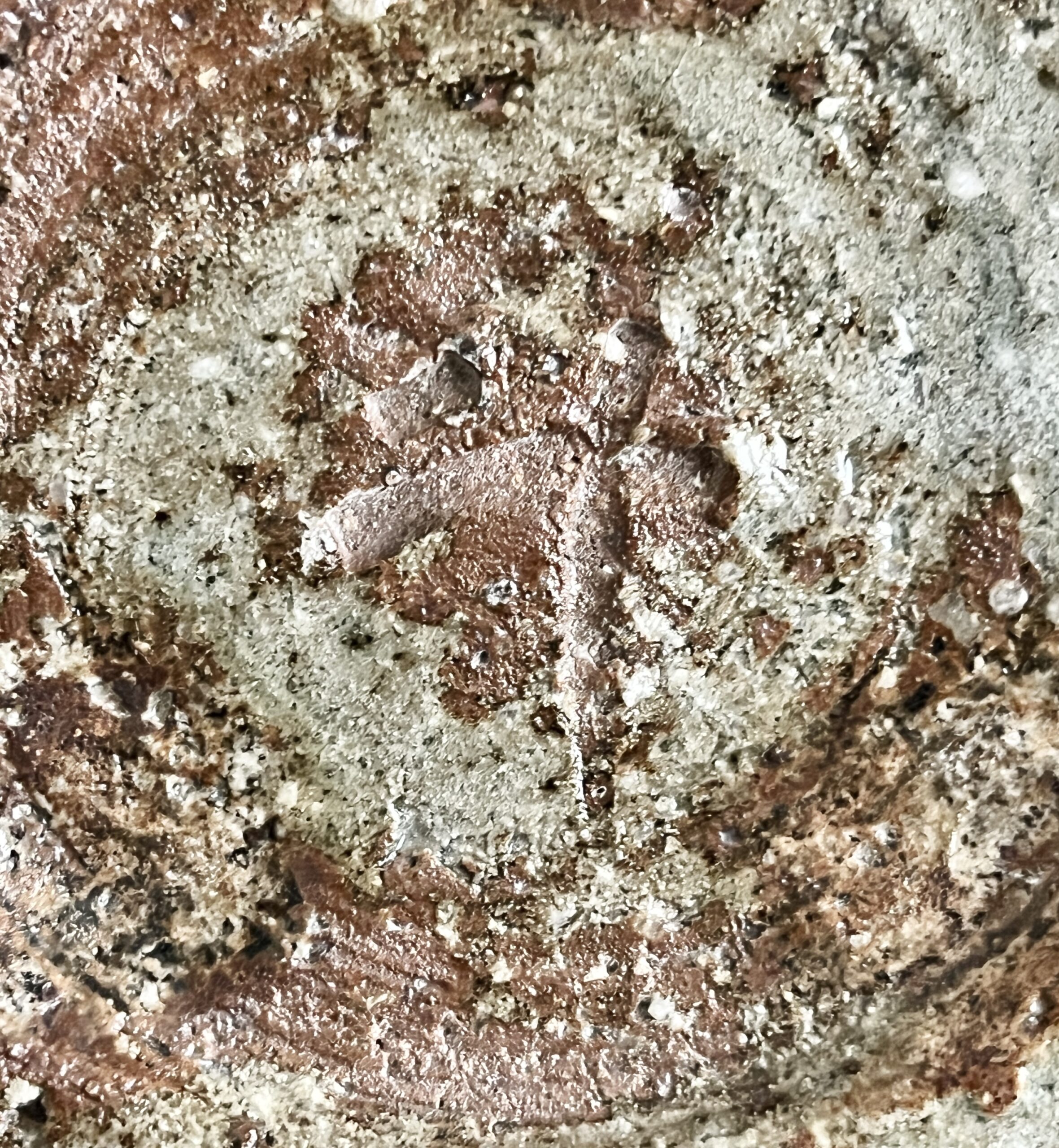 鮎貝晄月 (師 月形那比古) 海潮居 鬼伊賀 丸皿 和食器 飾り皿の陶印