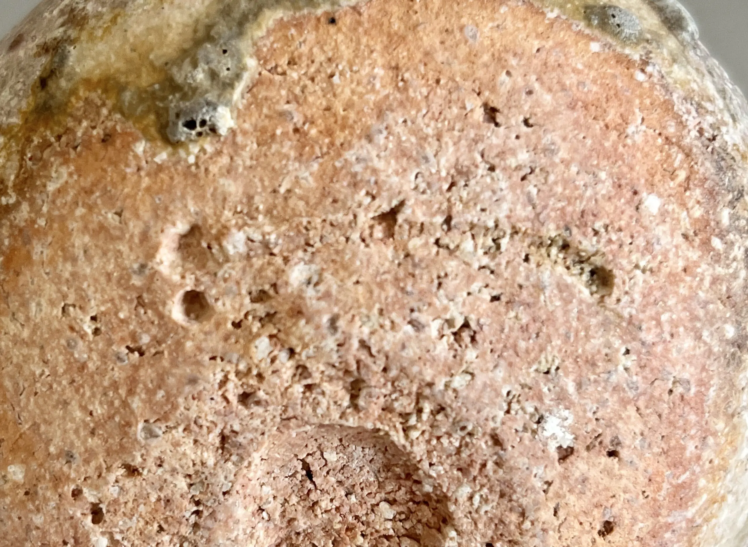 陶印（作印）：高台脇にございます