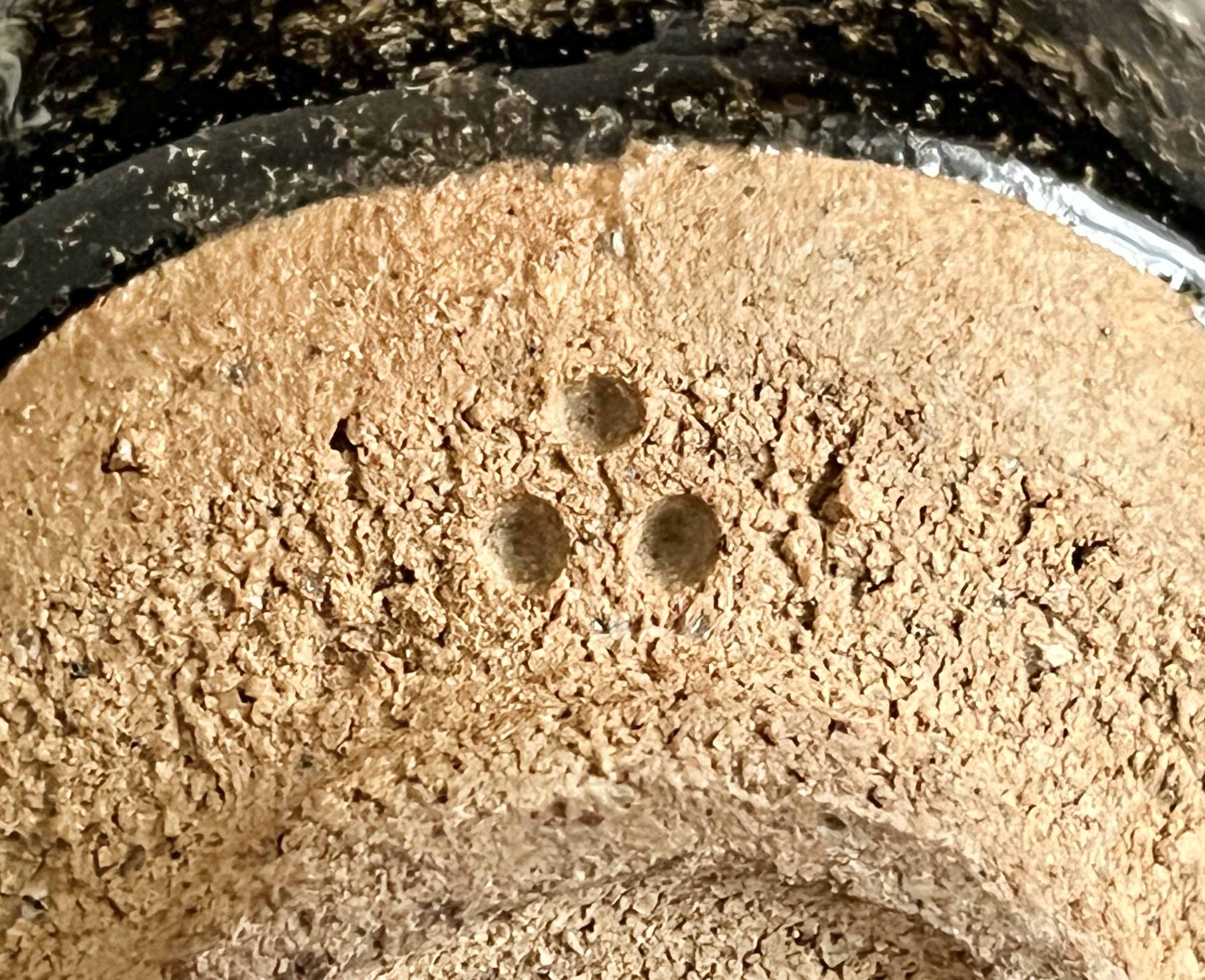 十三代 中里太郎右衛門窯　朝鮮唐津　ぐい呑　酒盃　酒器の陶印