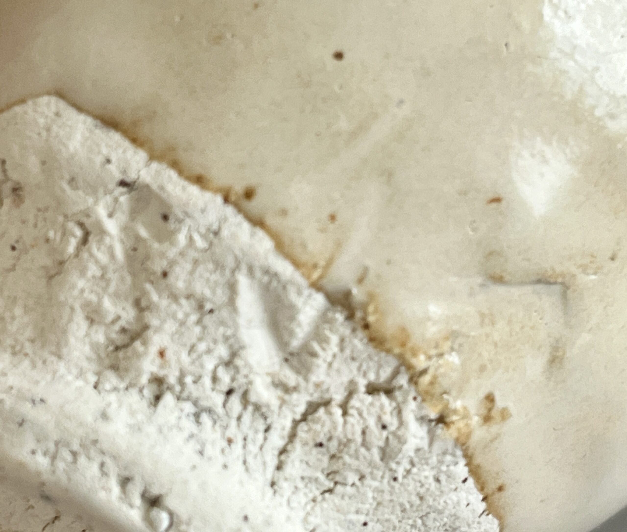 田中佐次郎　唐津焼　玄黄　盃　ぐい呑　酒盃　酒器の陶印